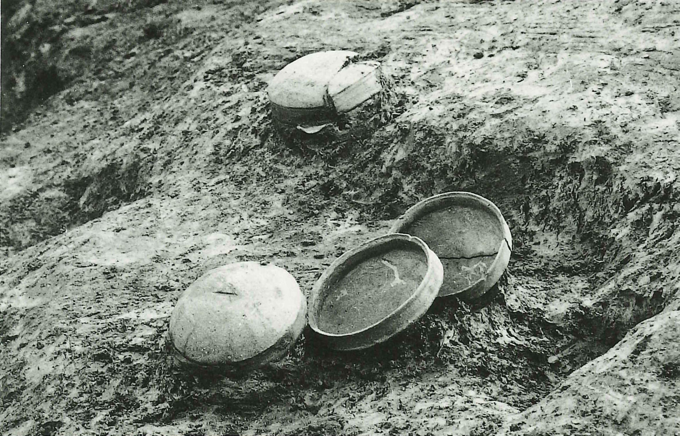 水判土堀の内みずはたほりのうち・林光寺りんこうじ・根切ねぎり