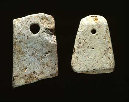 大沼遺跡おおぬまいせき