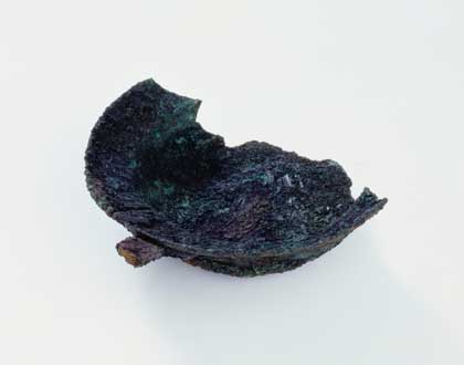 花ノ木はなのき・向原むかいはら・柿ノ木坂かきのきざか・水久保みずくぼ・丸山台まるやまだい