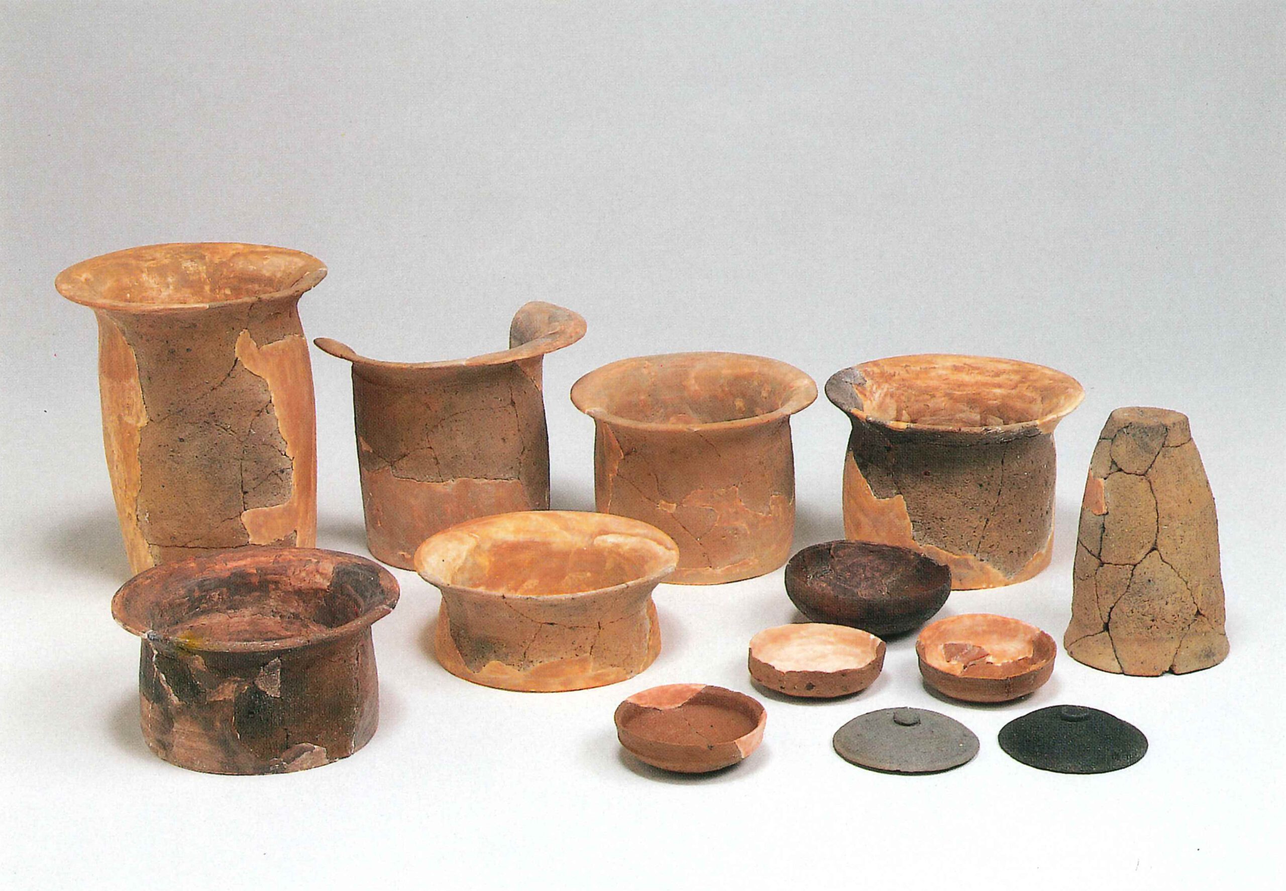 足洗遺跡あしあらいいせき