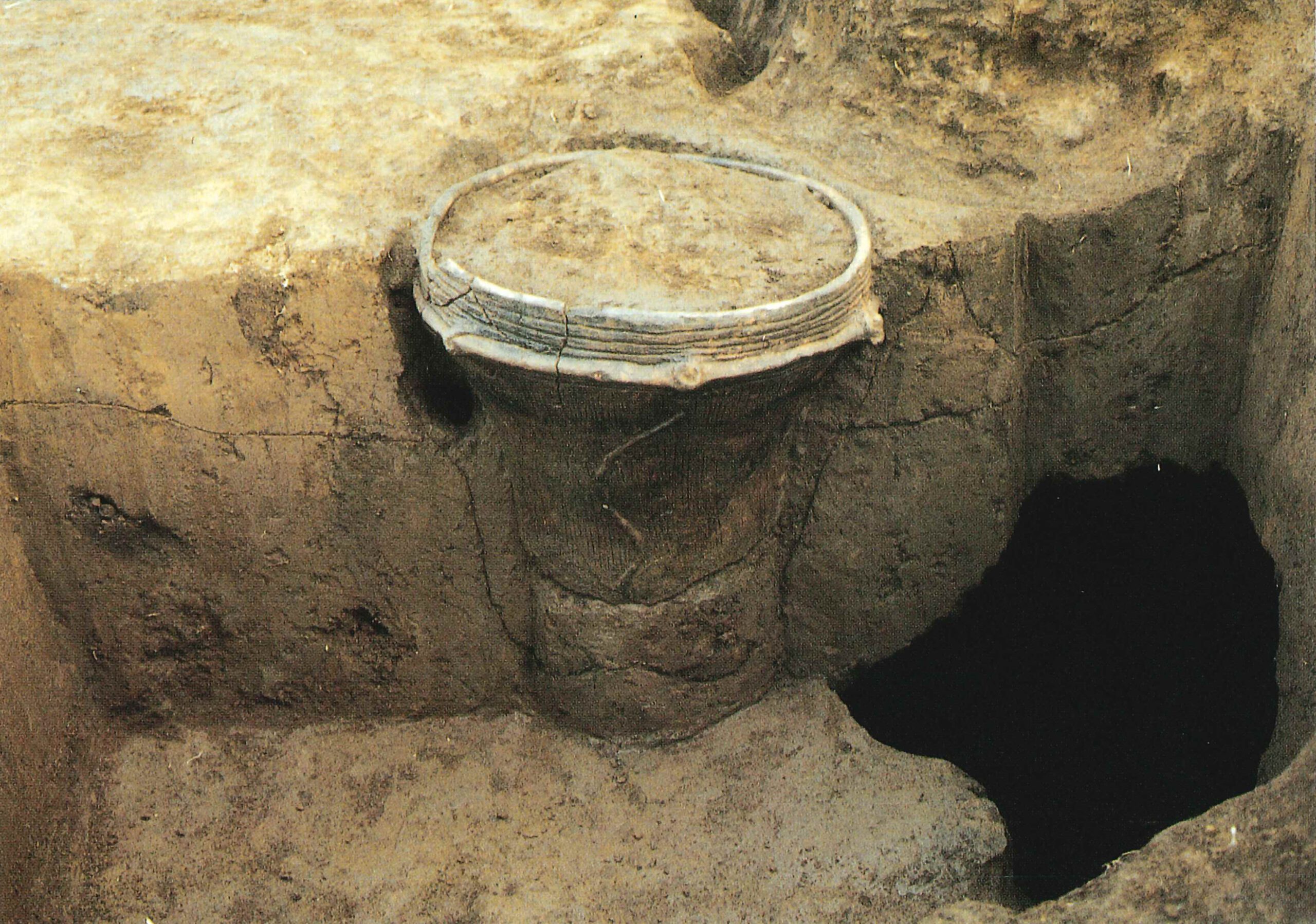 原山坊ノ在家遺跡はらやまぼうのざいけいせき