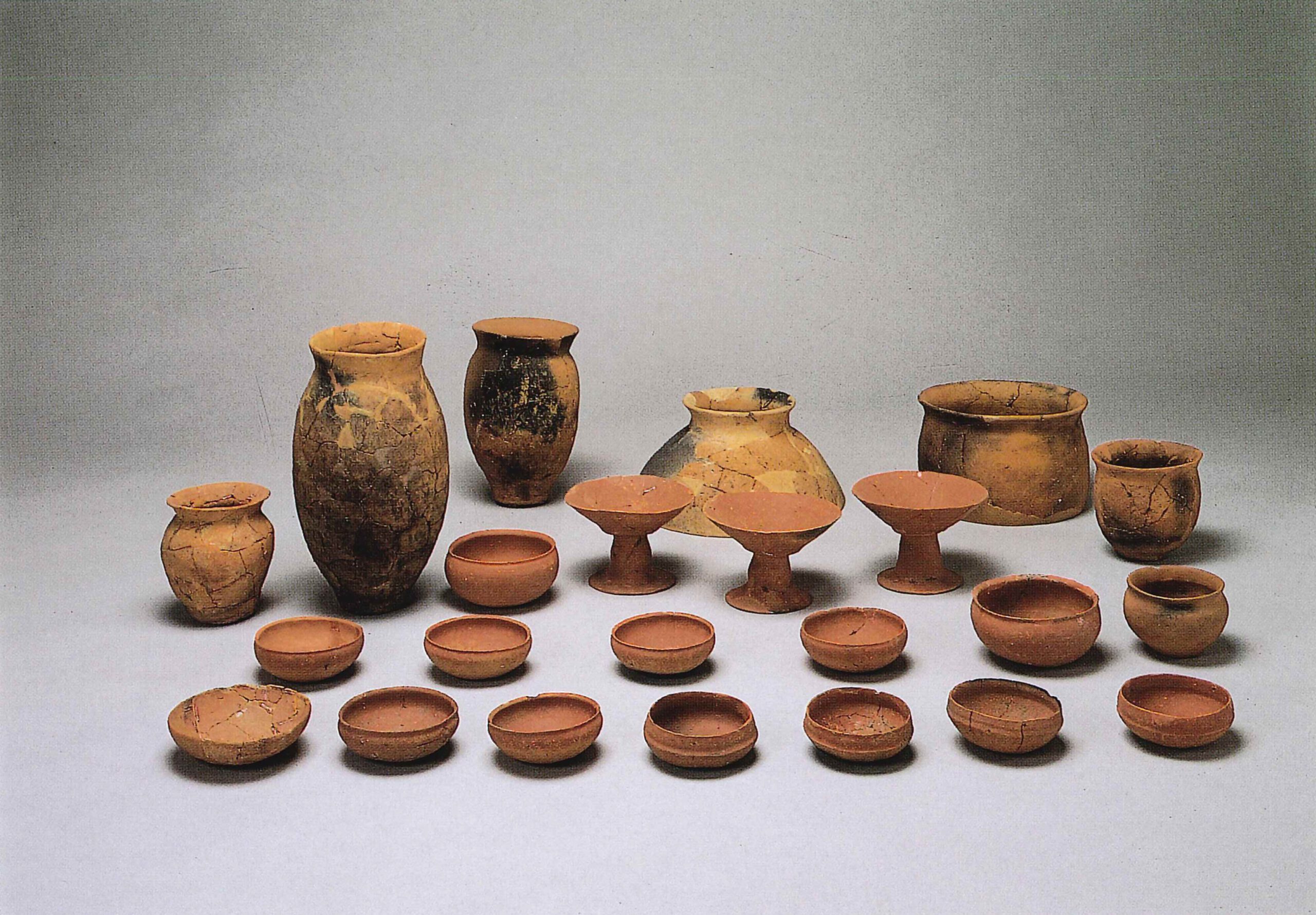 田島たじま・棚田たなだ