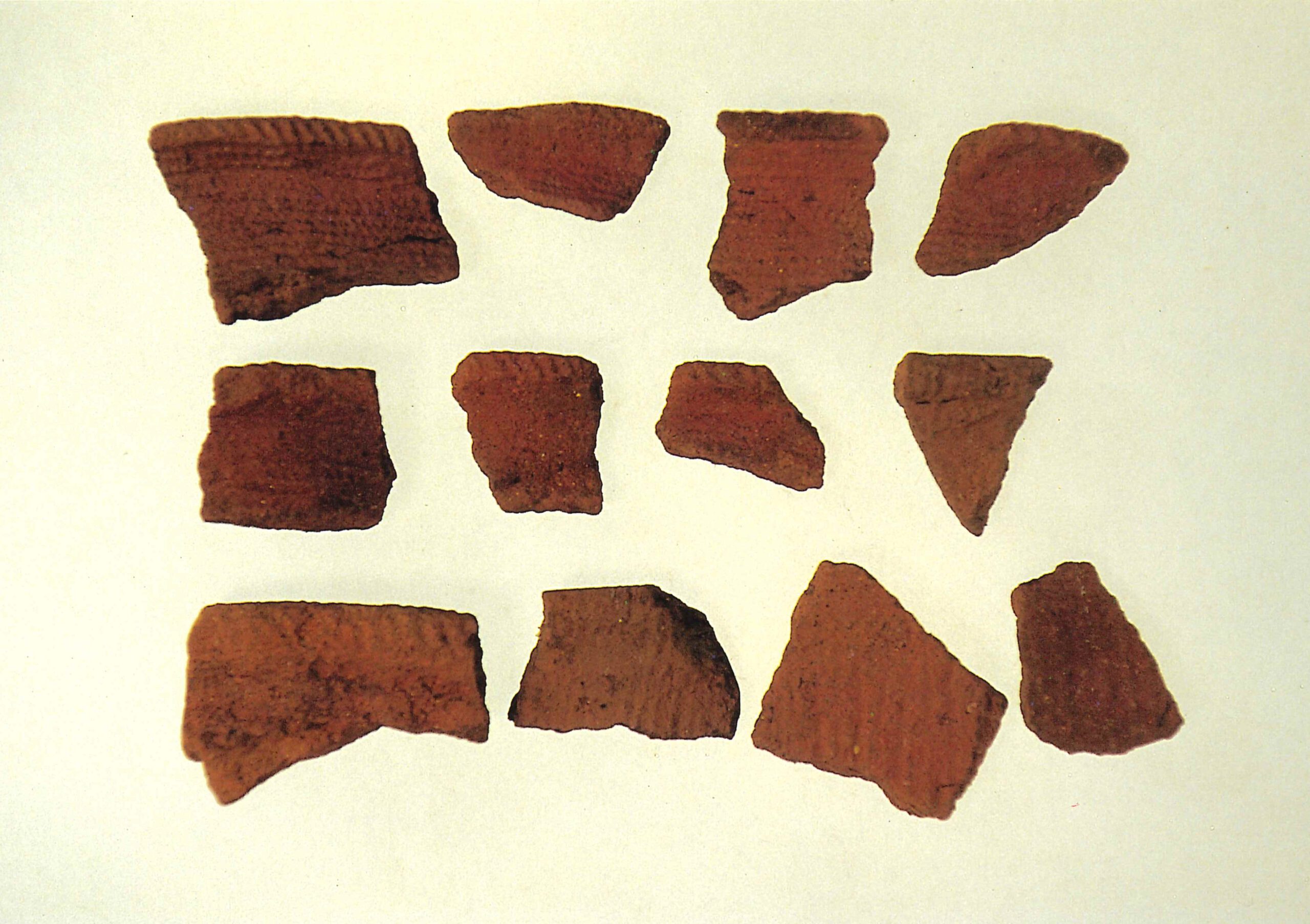 海老沼南遺跡えびぬまみなみいせき