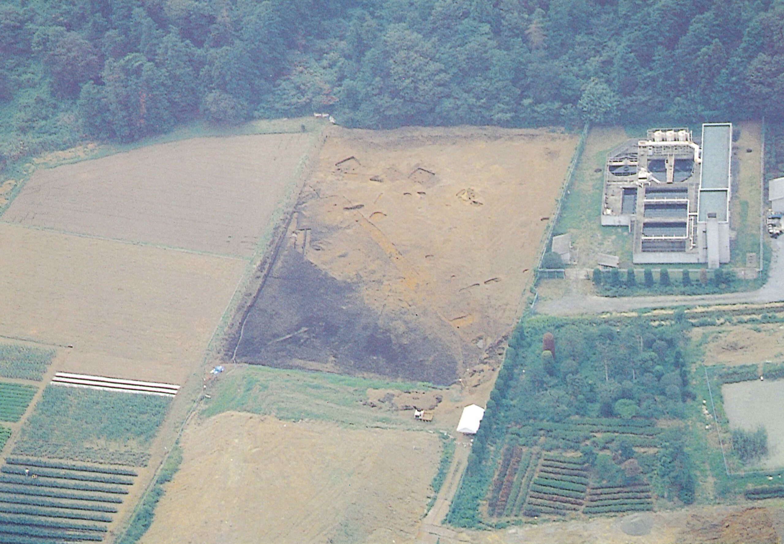 桜山遺跡さくらやまいせき
