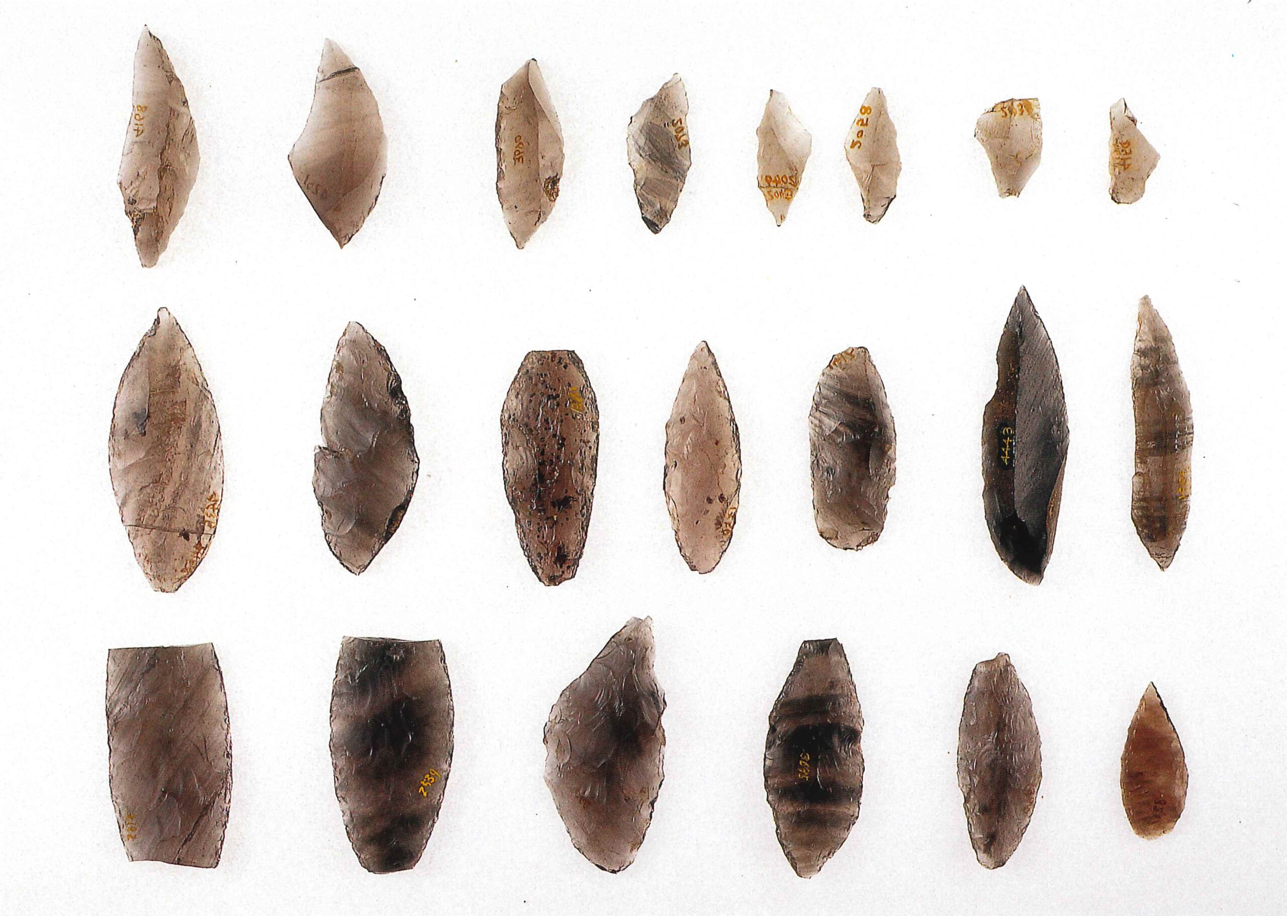 横田遺跡よこたいせき