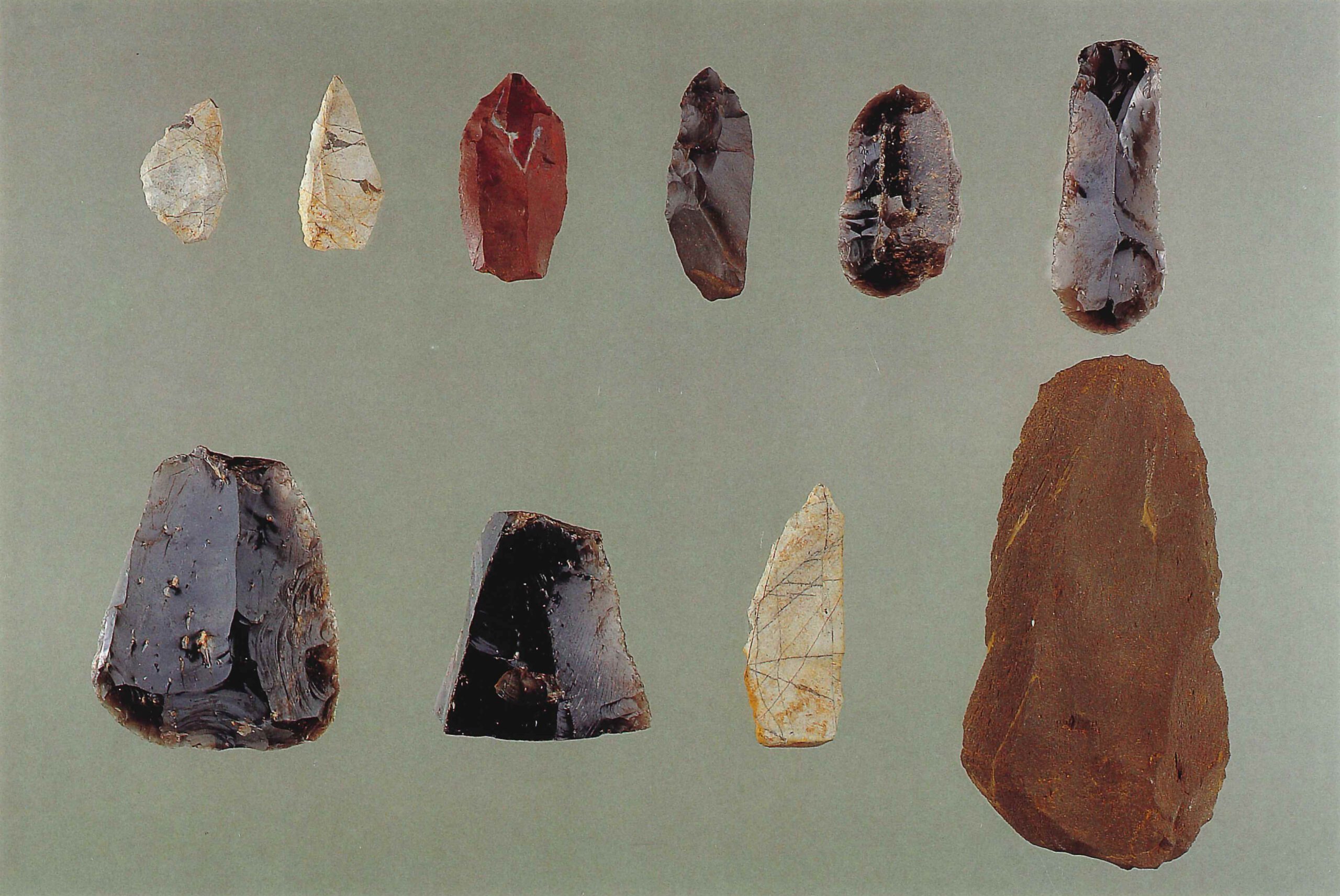 丸山まるやま/青梅道南おうめどうみなみ/十文字原じゅうもんじはら/東武蔵野ひがしむさしの/西武蔵野にしむさしの