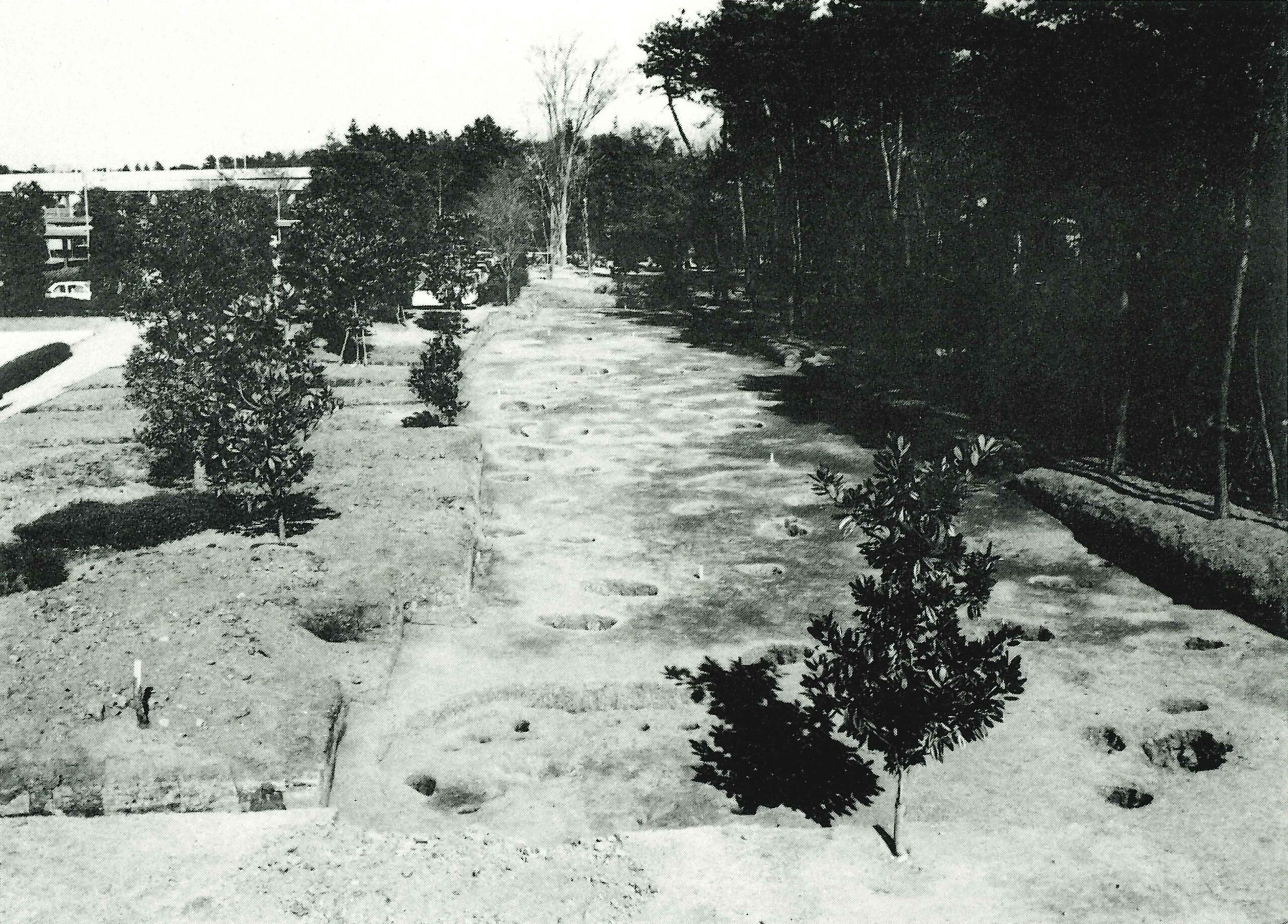 大山  おおやま