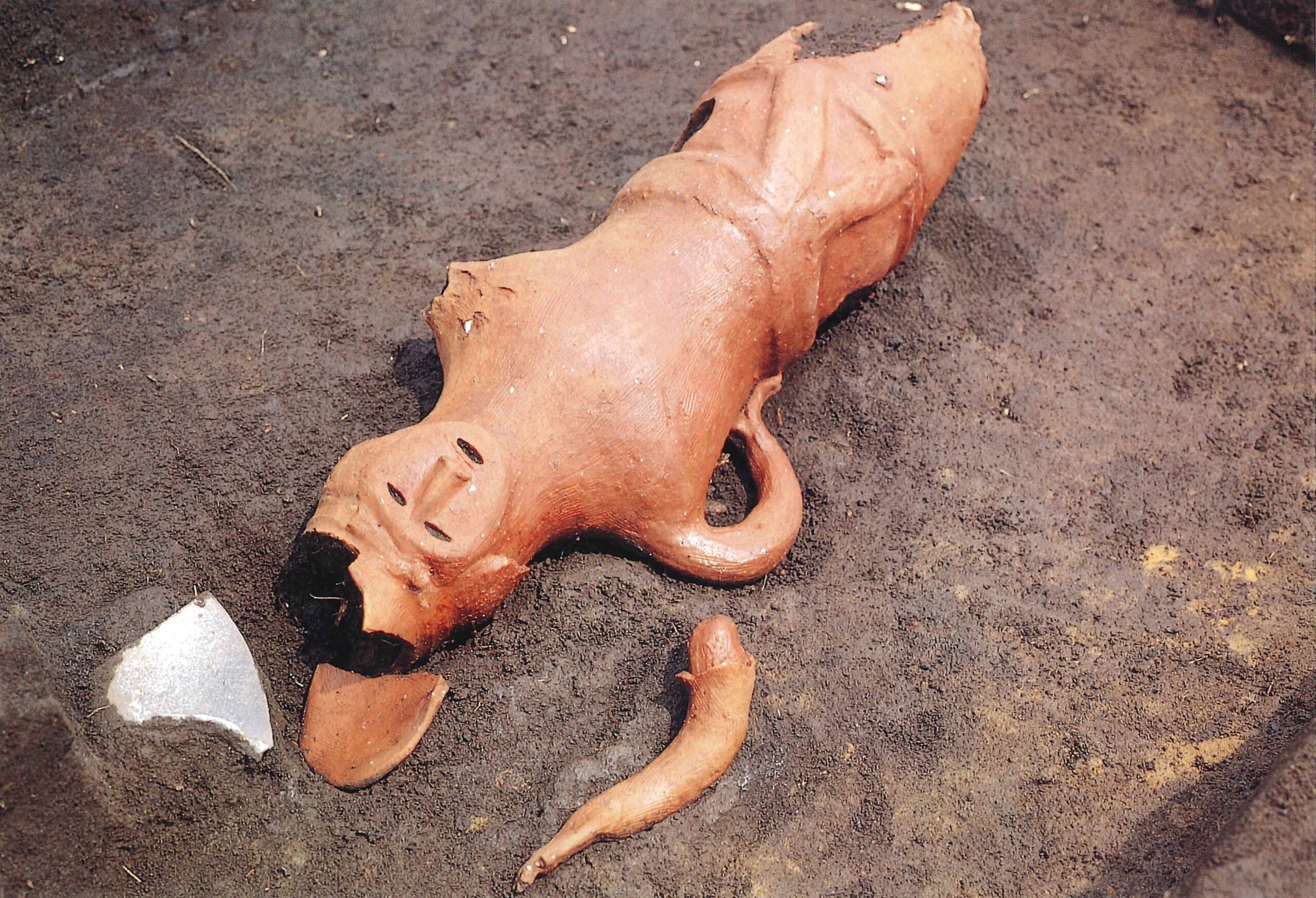 新屋敷遺跡C区しんやしきいせきC区