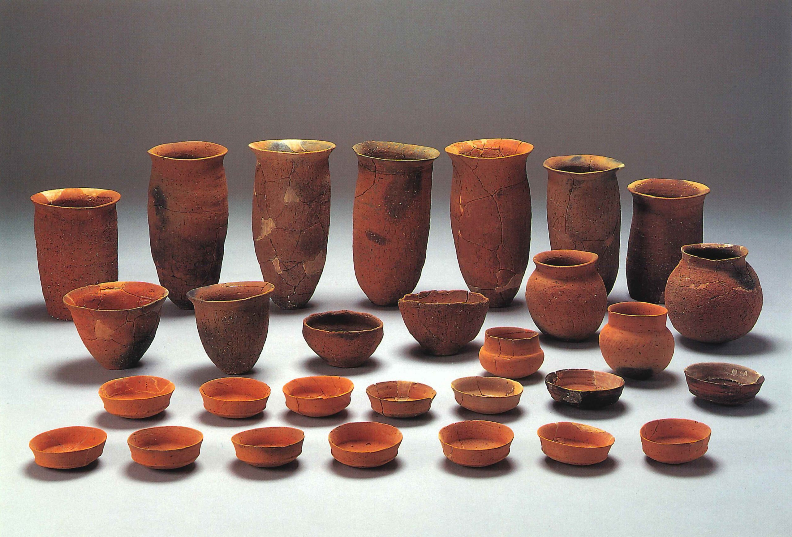 今井川越田遺跡いまいかわごえだいせき