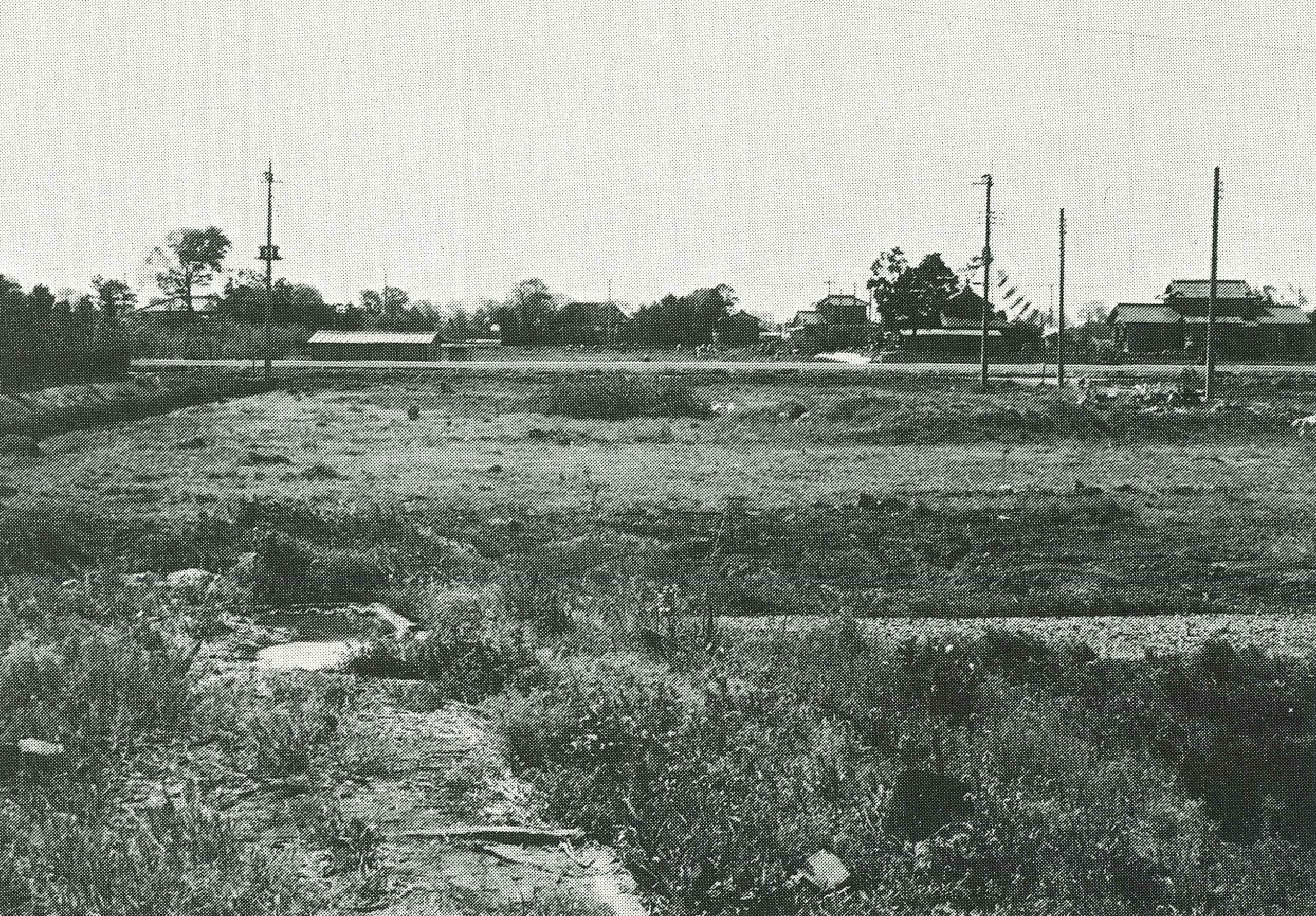 下椿  しもつばき