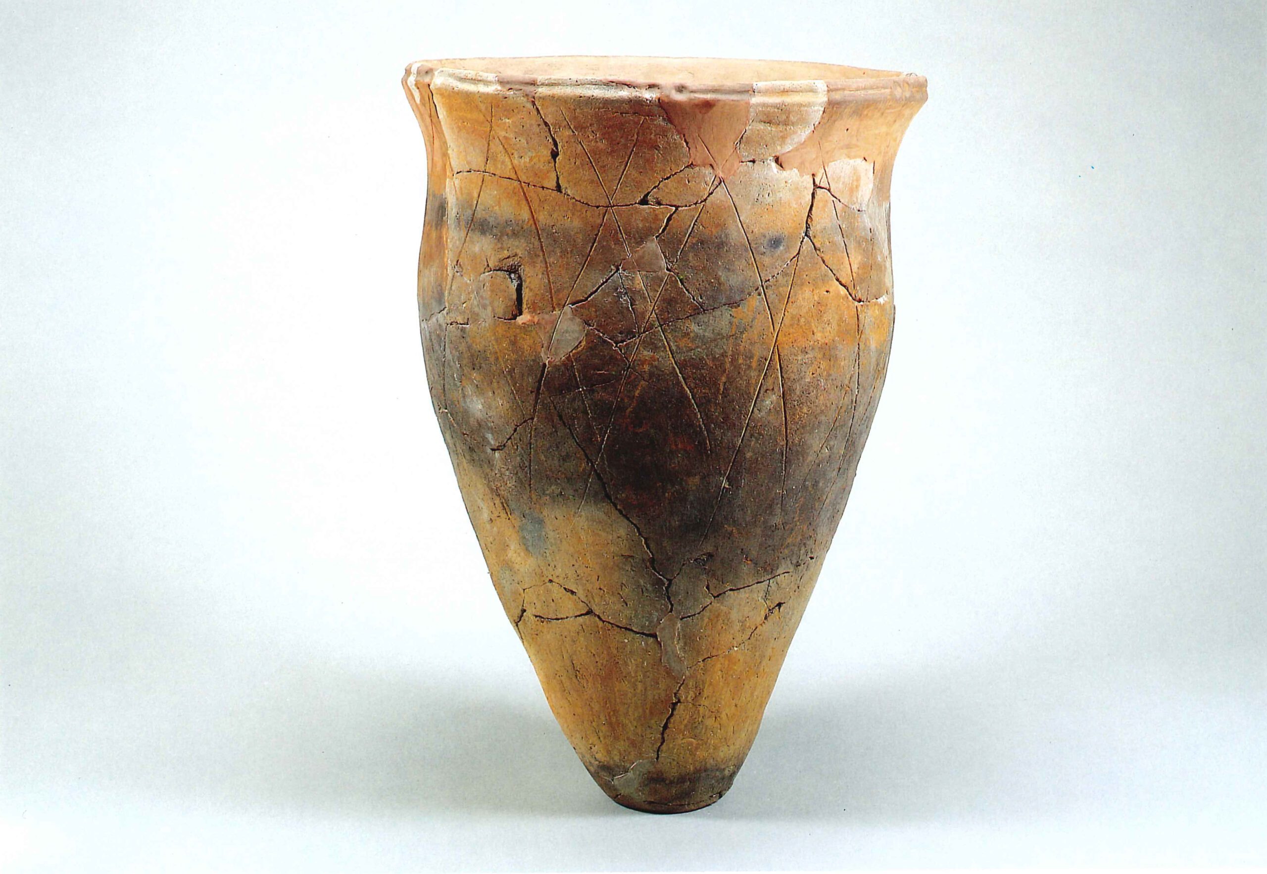 戸崎前遺跡とざきまえいせき