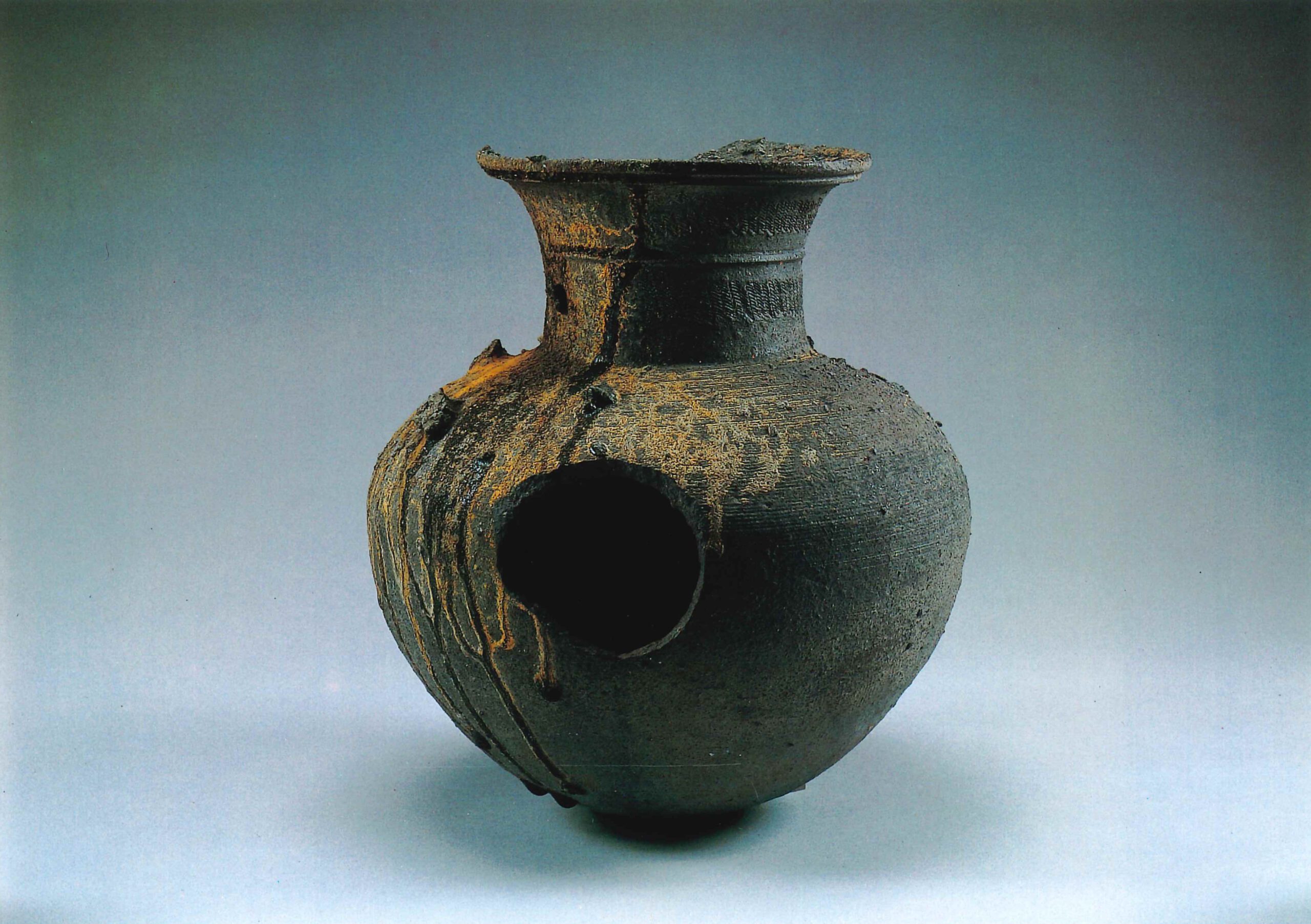 今井条里遺跡いまいじょうりいせき