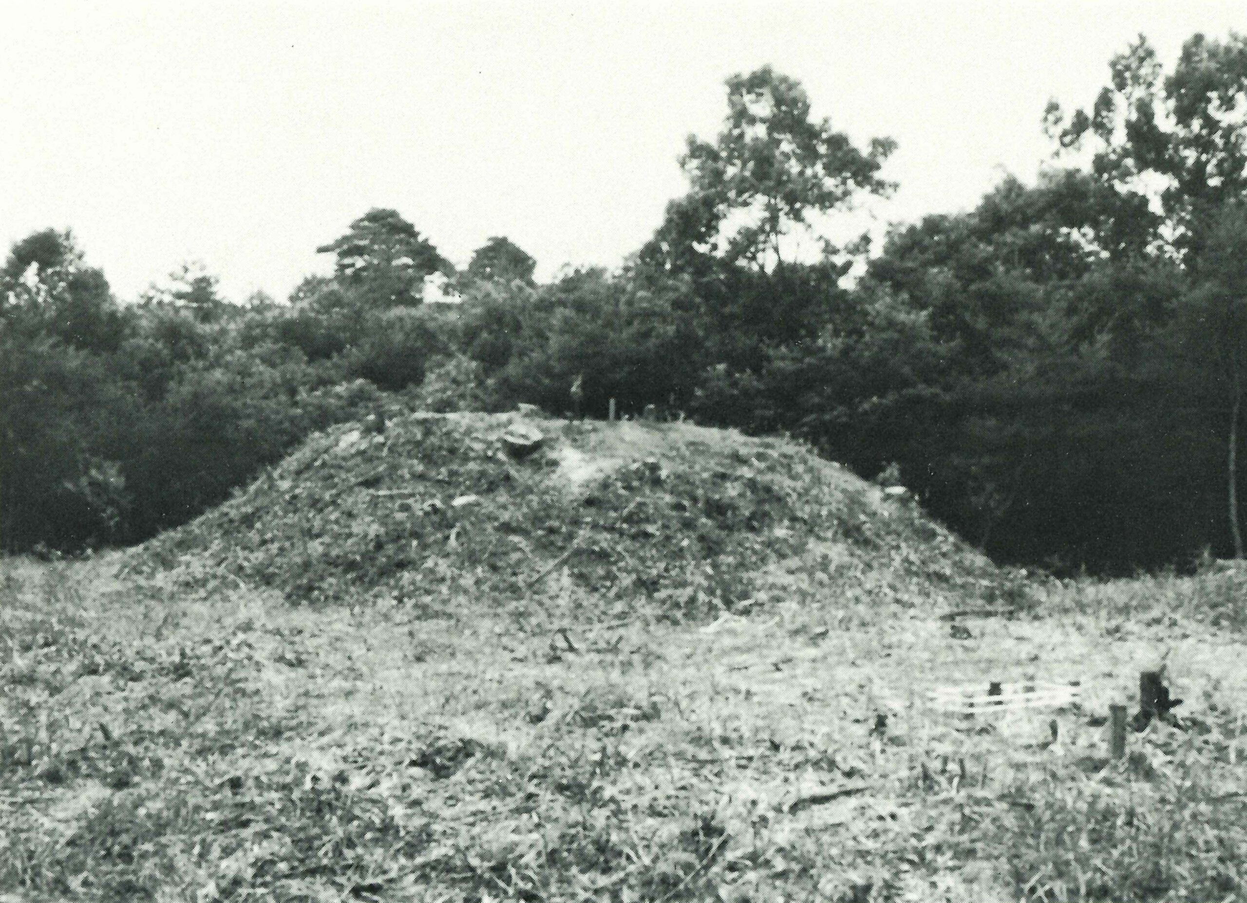 桜山古墳群さくらやまこふんぐん