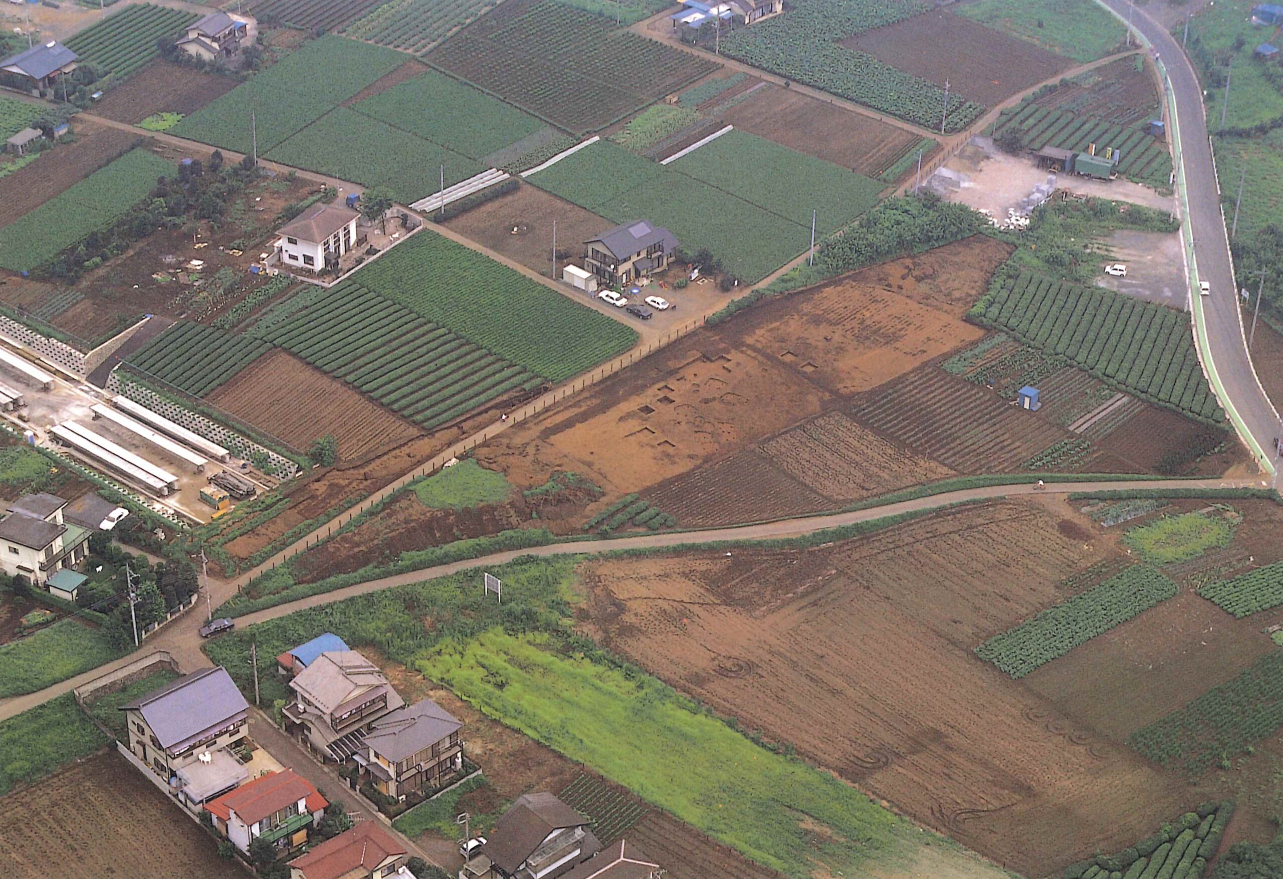 中台遺跡なかだいいせき