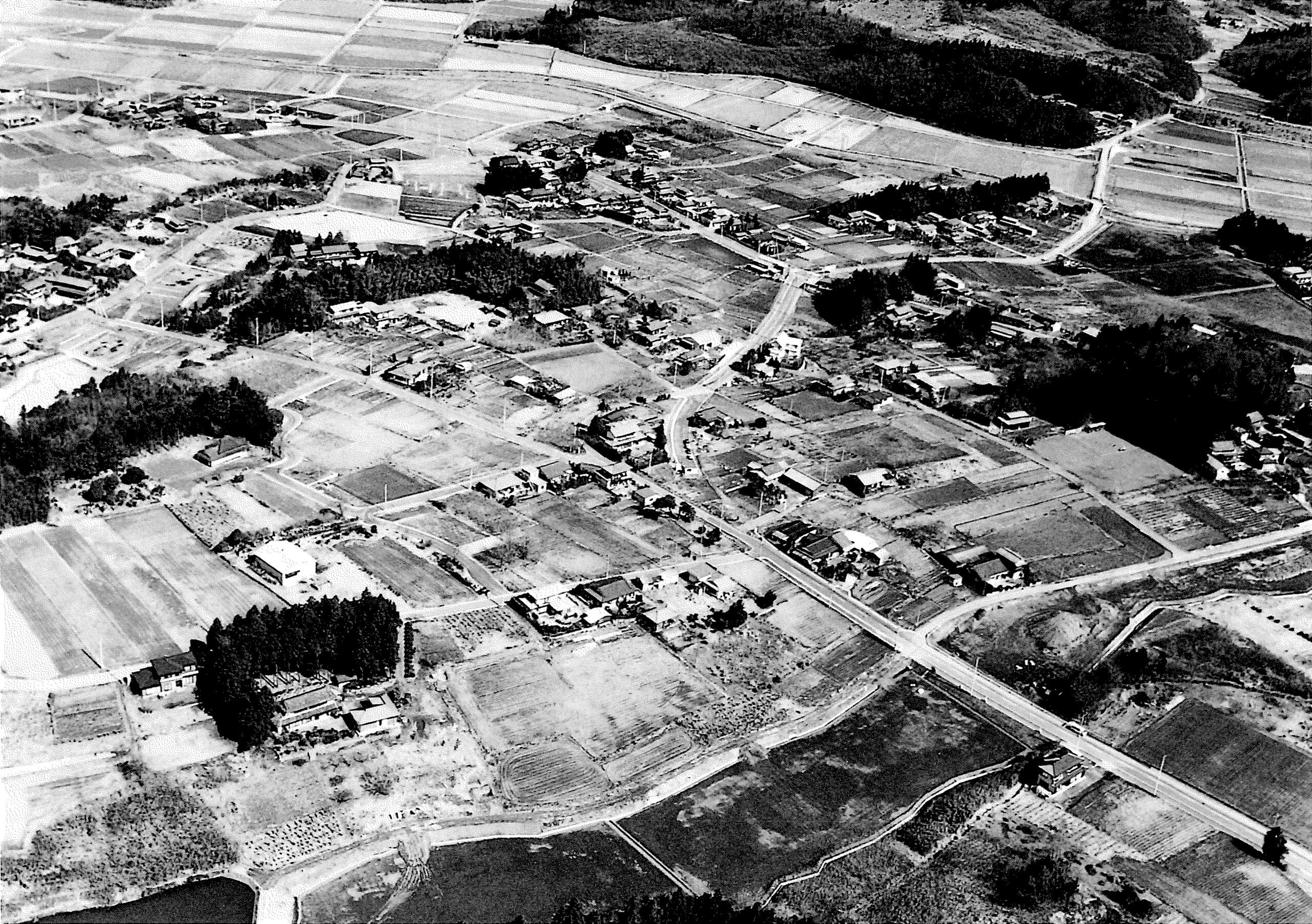 大杉遺跡おおすぎいせき