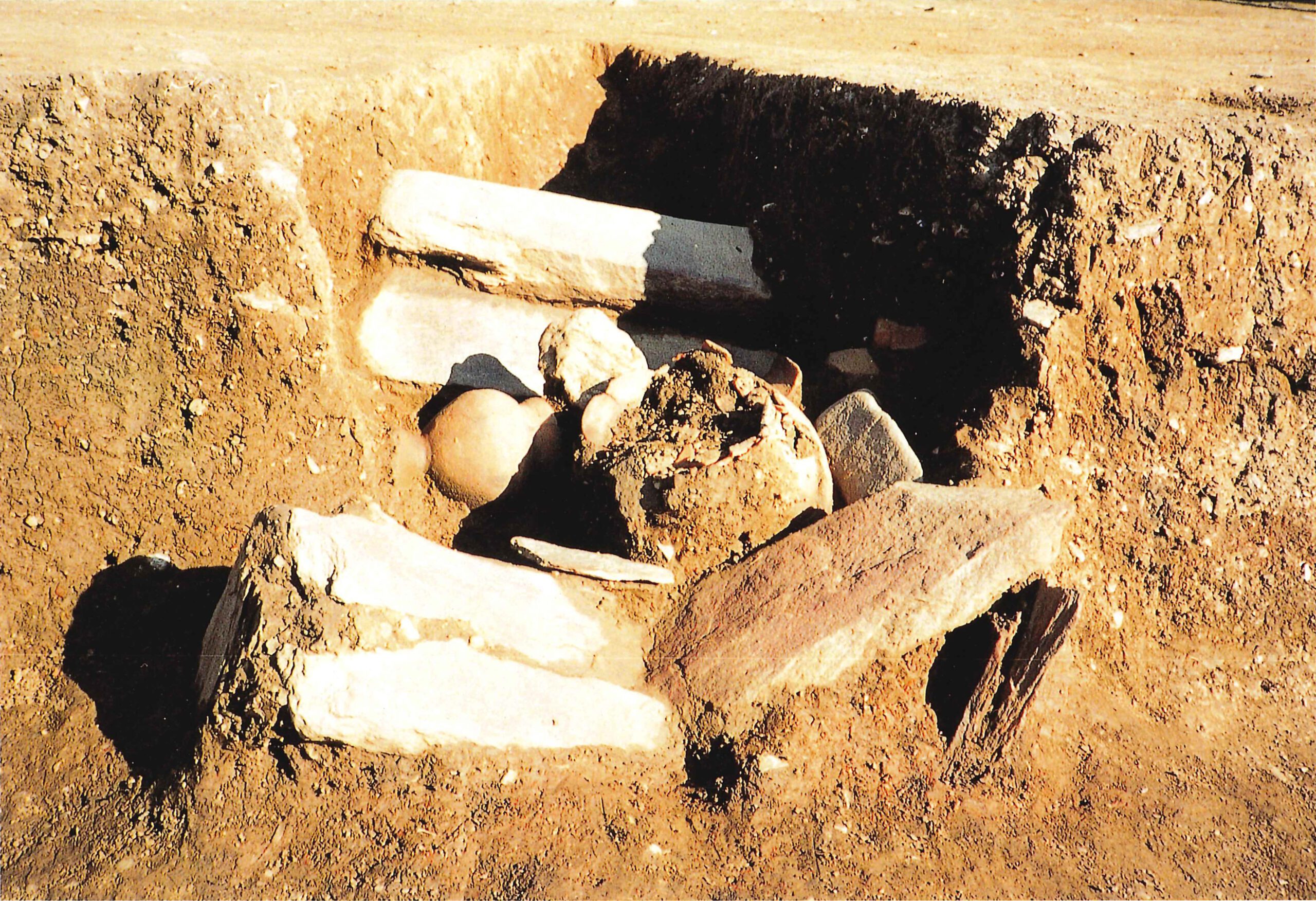 耕地遺跡こうちいせき