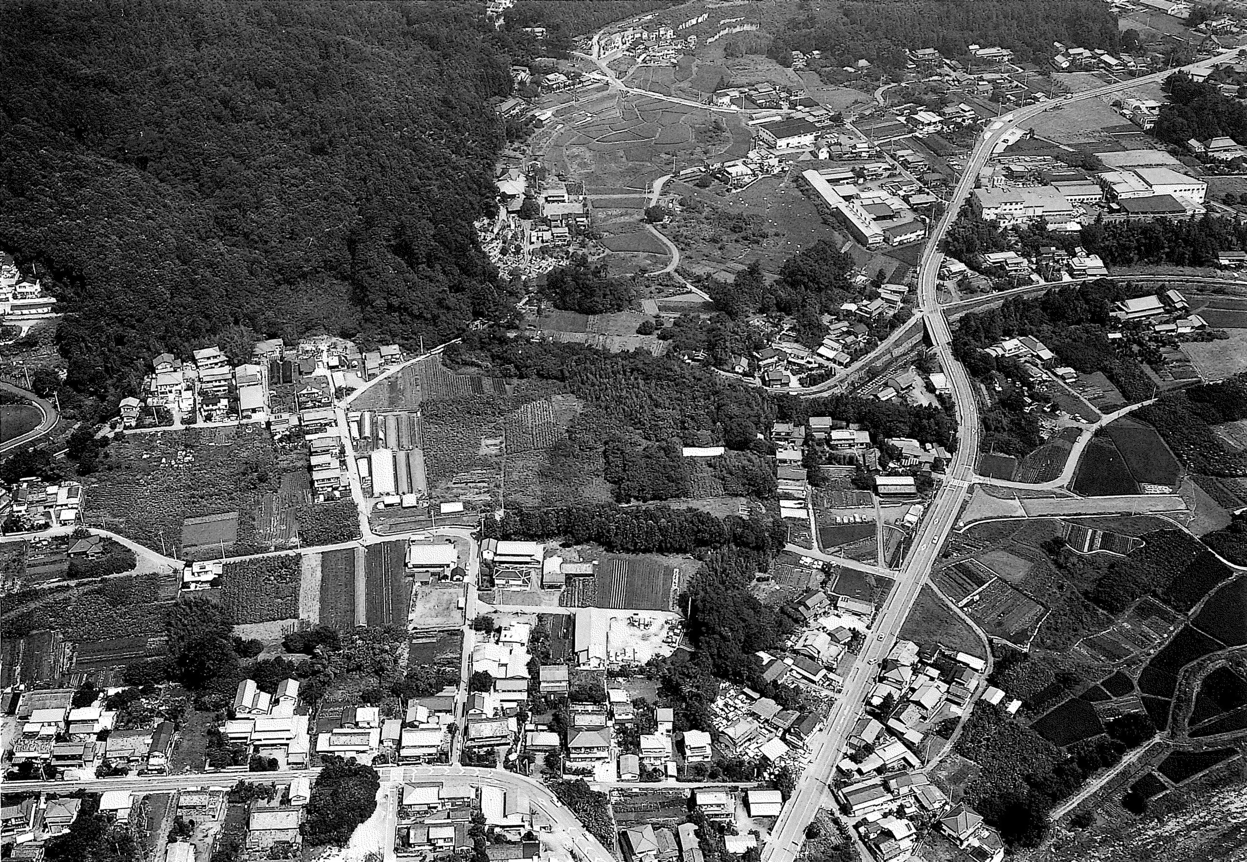 根際遺跡ねぎわいせき