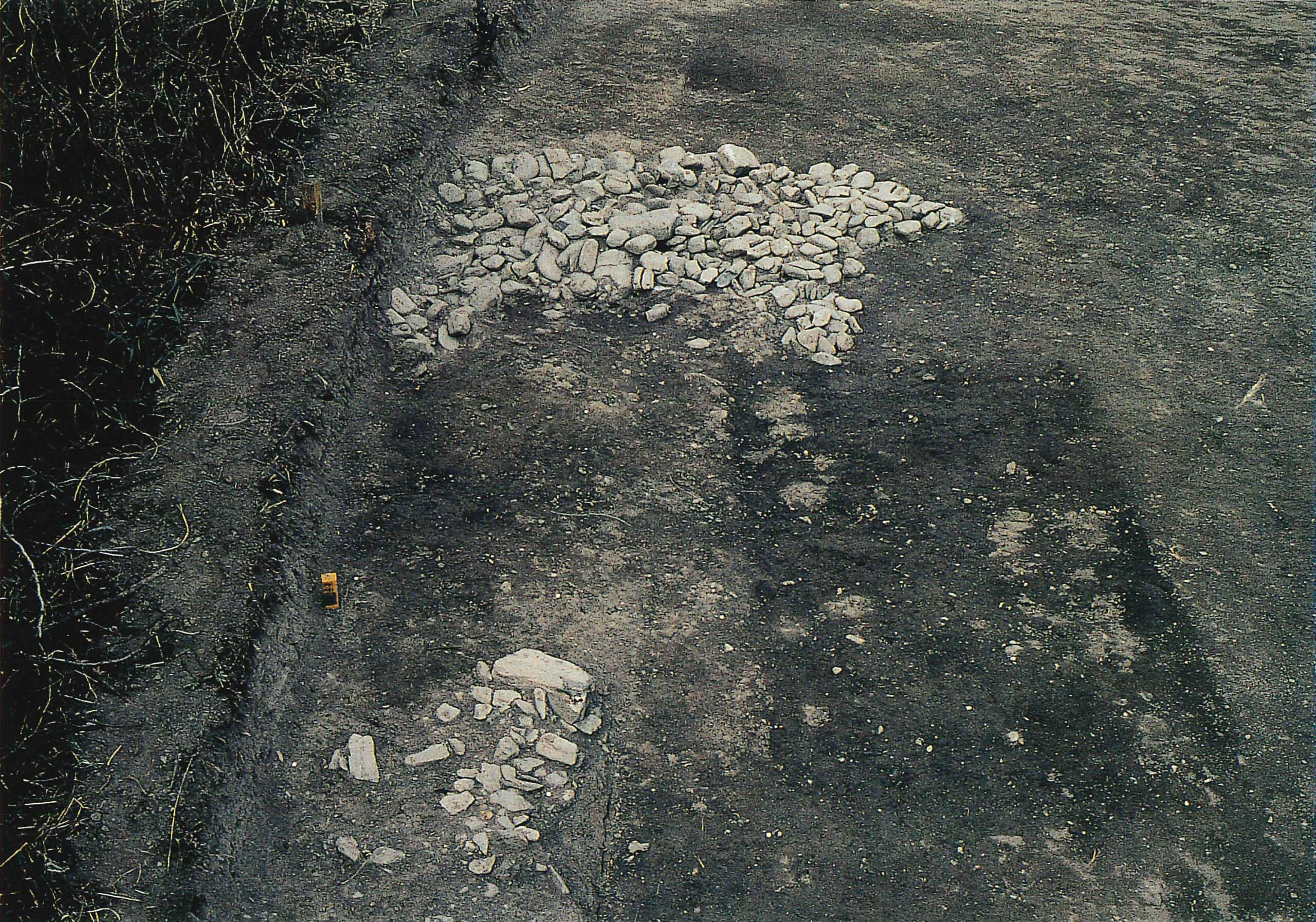 長沖古墳群ながおきこふんぐん