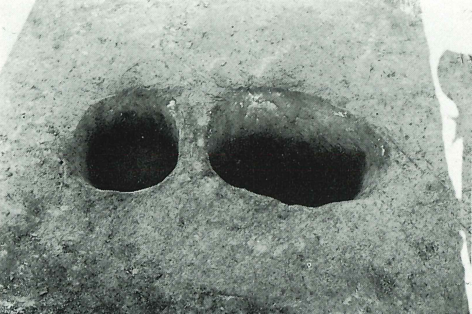 ささらささら・帆立ほだつ・馬込新屋敷まごめあらやしき・馬込大原まごめおおはら