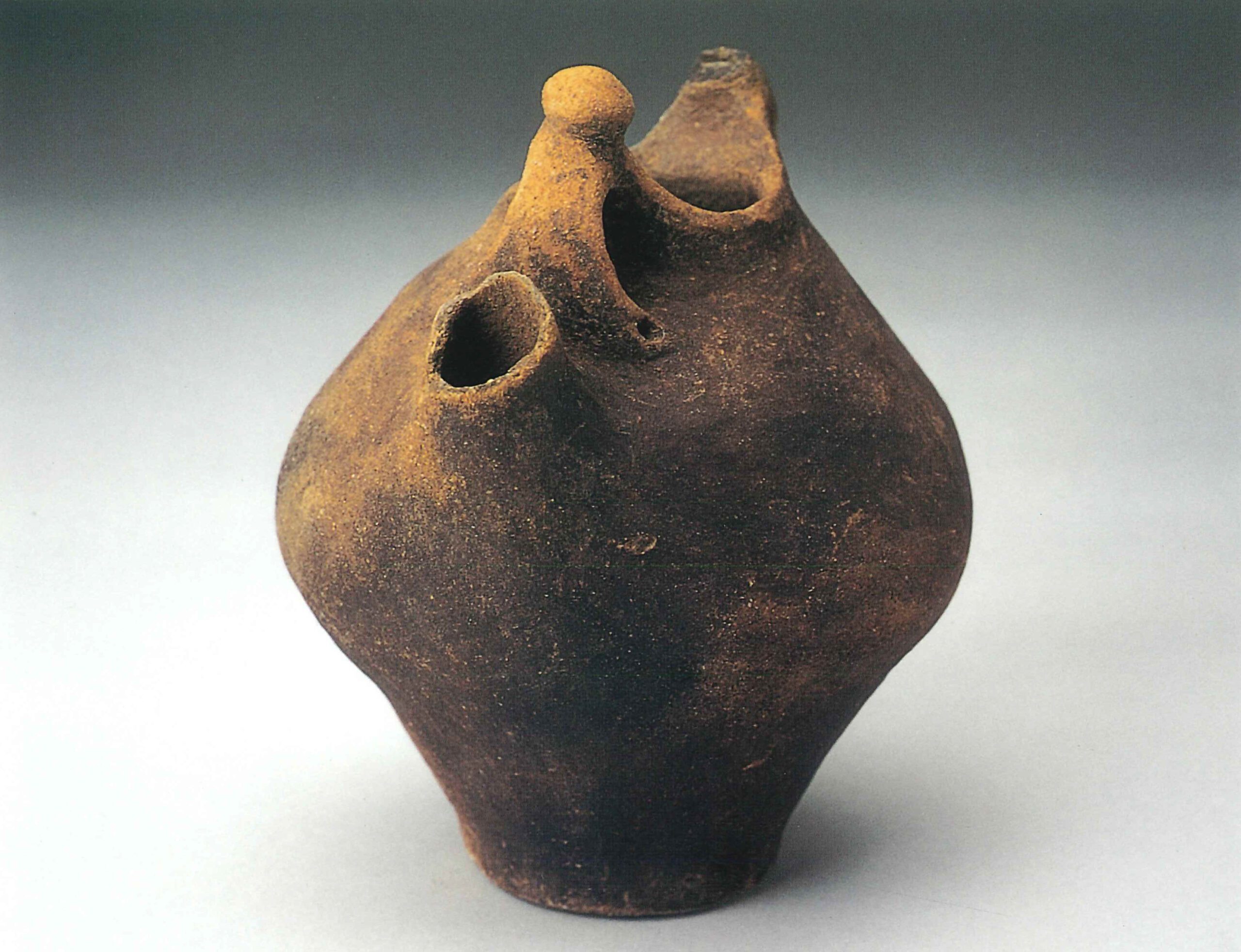 浜平岩蔭はまだいらいわかげ／入波沢西にっぱざわにし／入波沢東にっぱざわひがし