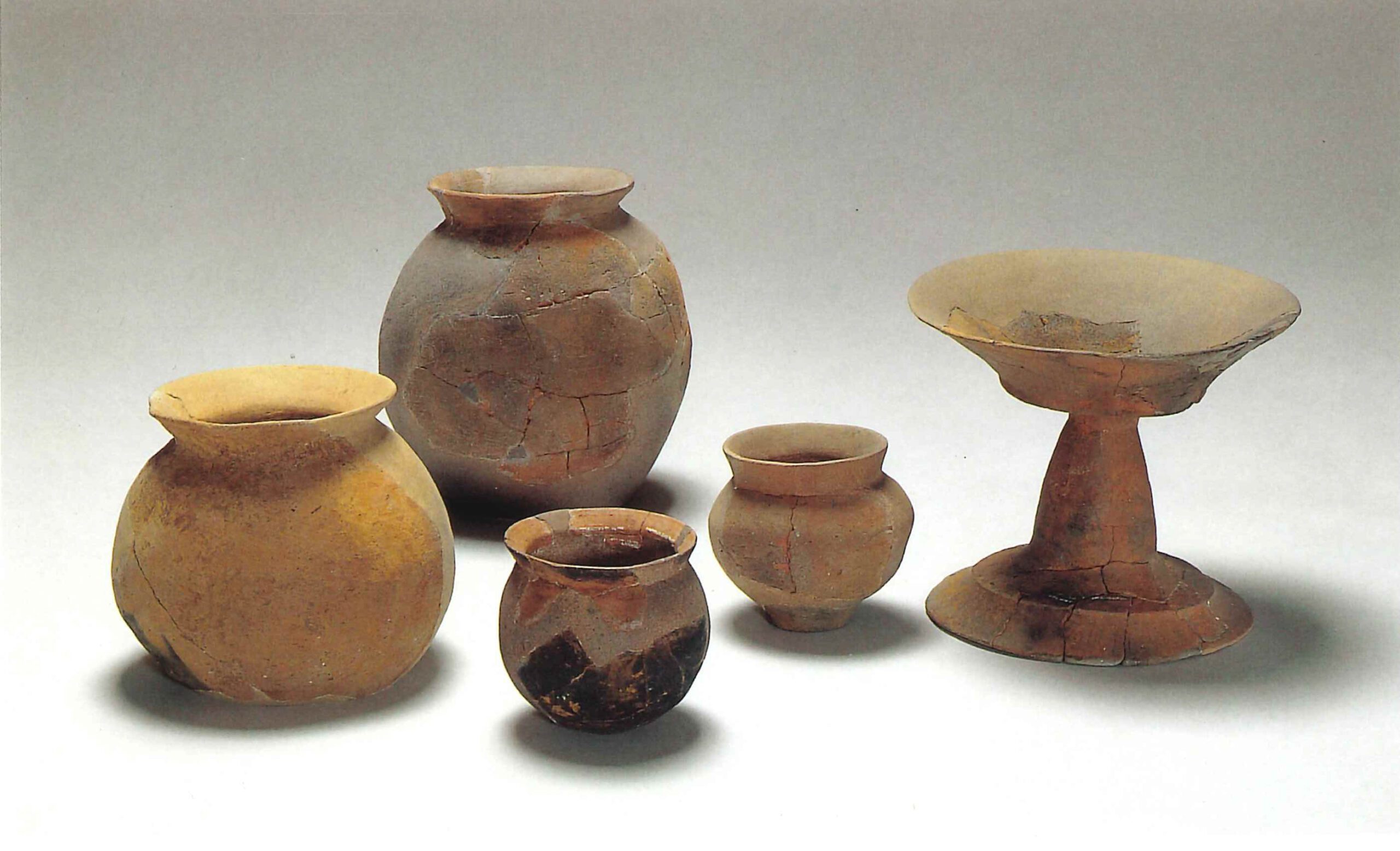 小沼耕地遺跡ⅡこぬまごうちいせきⅡ