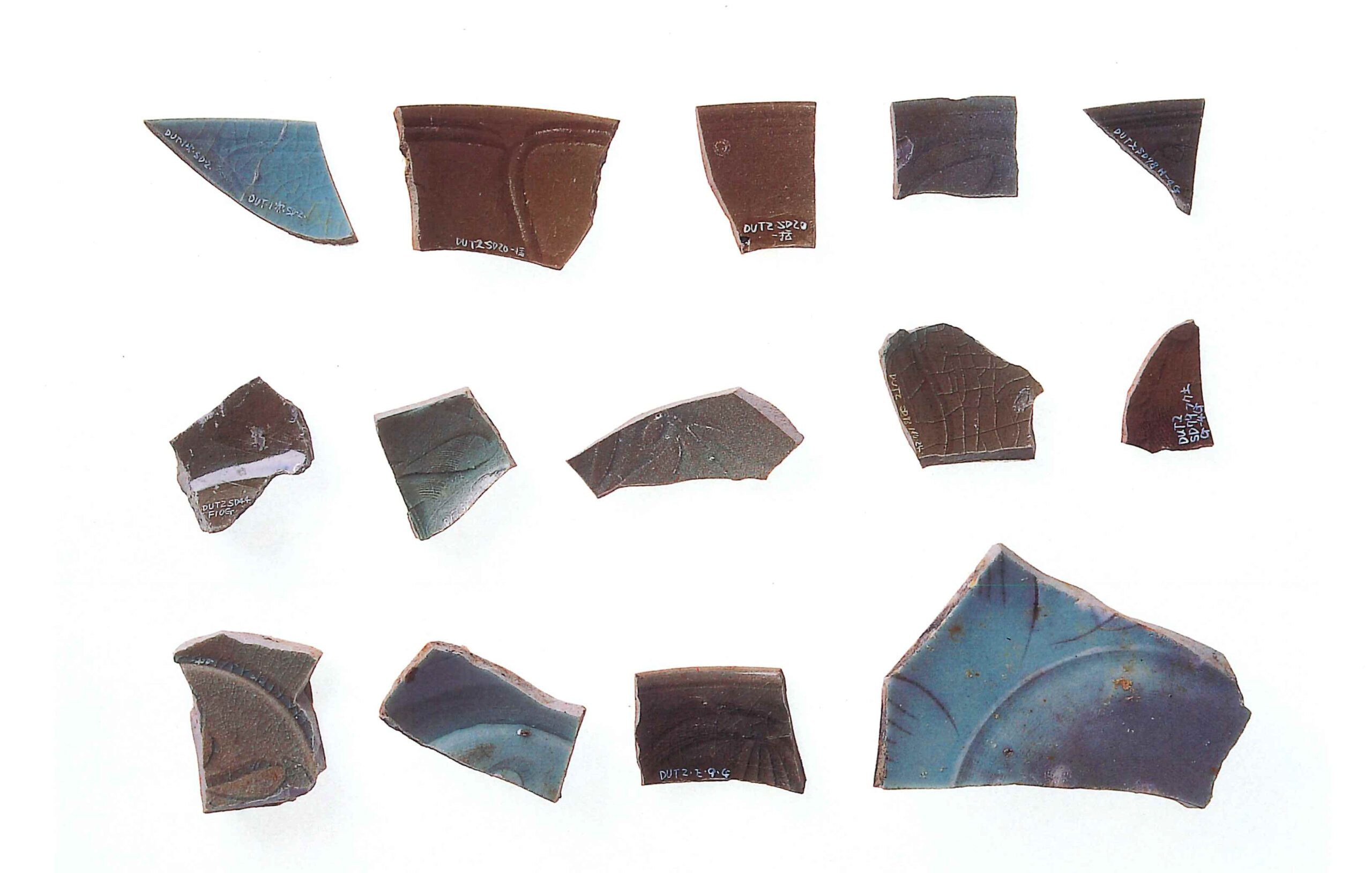 堂地遺跡どうちいせき