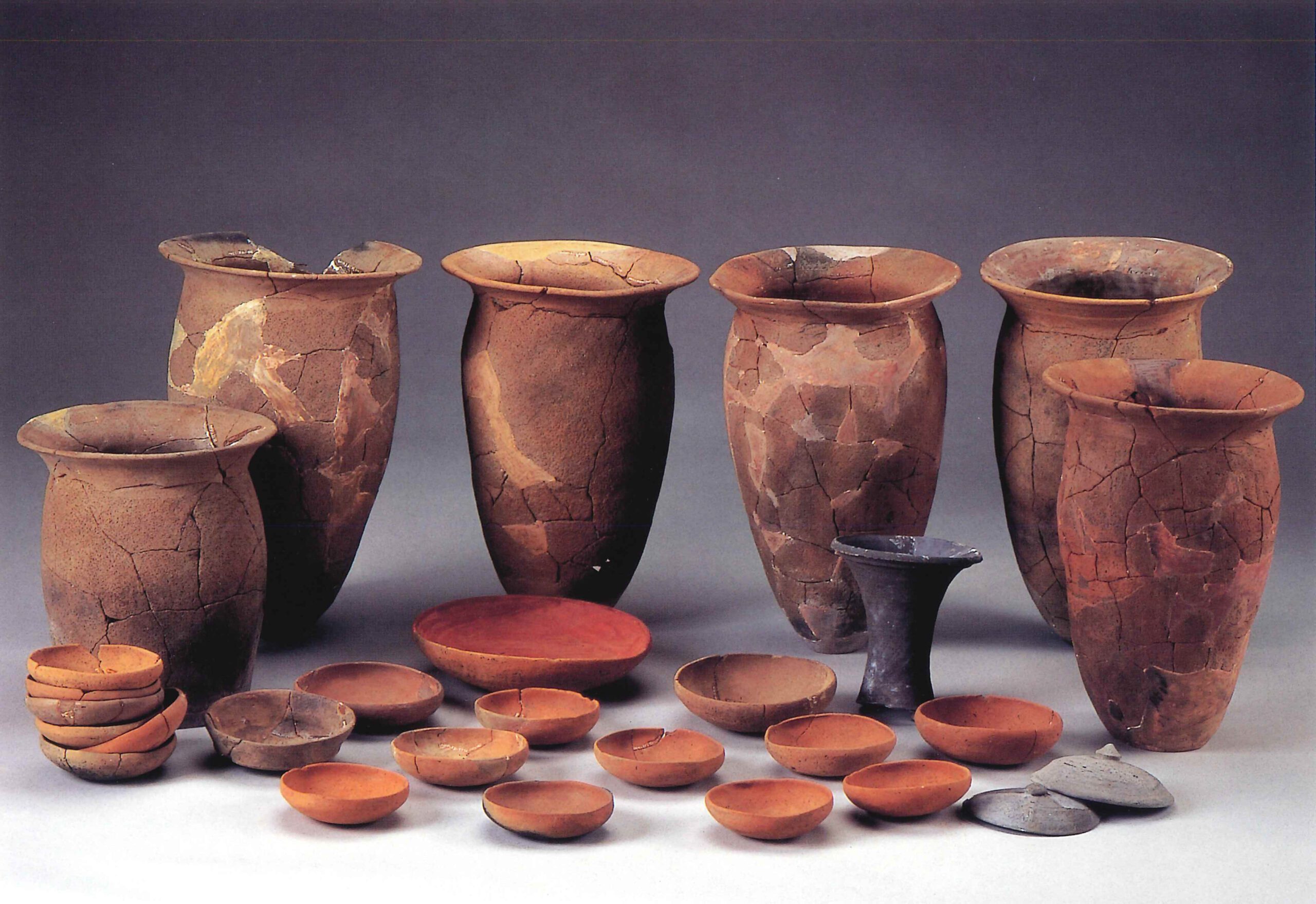 大寄遺跡ⅠおおよりいせきⅠ