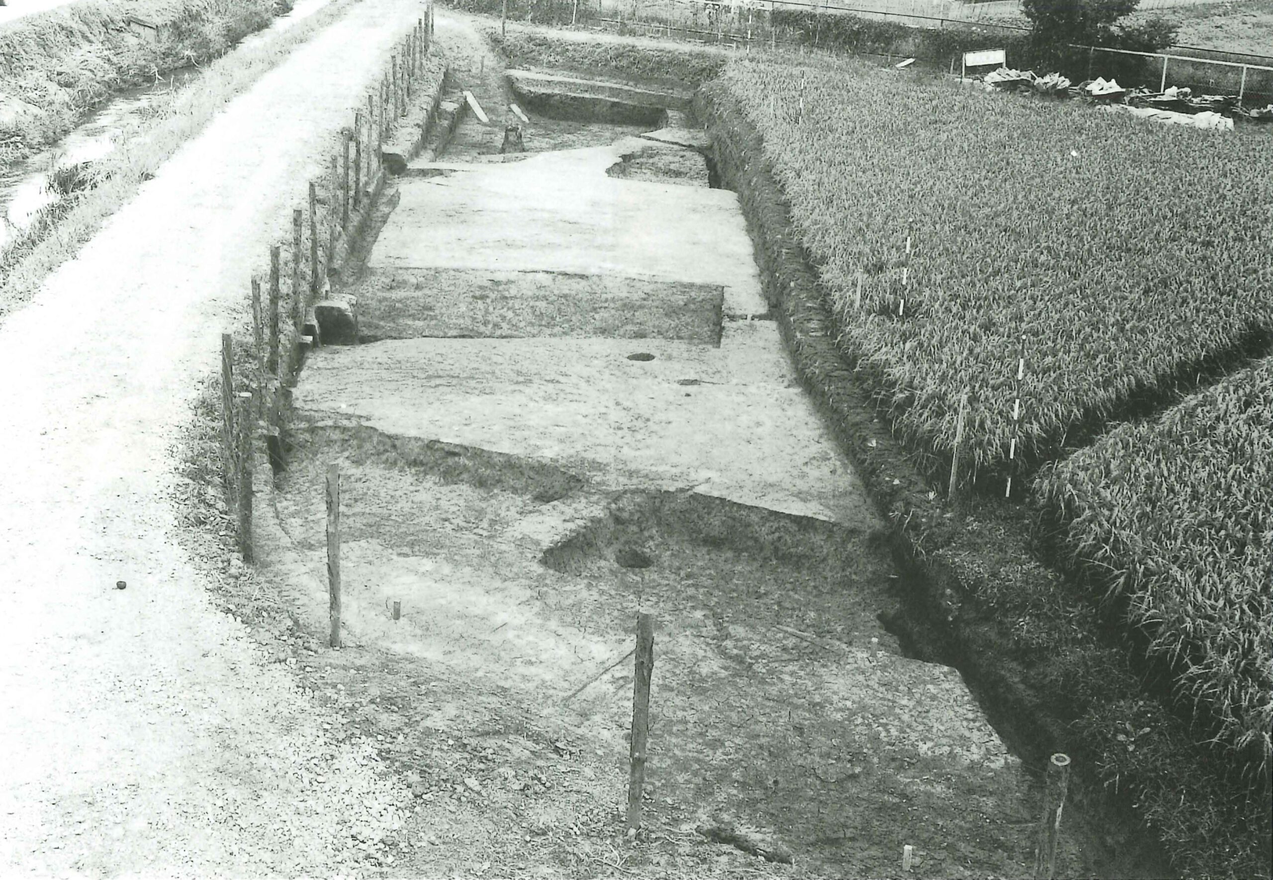 堀東遺跡ⅡほりひがしいせきⅡ