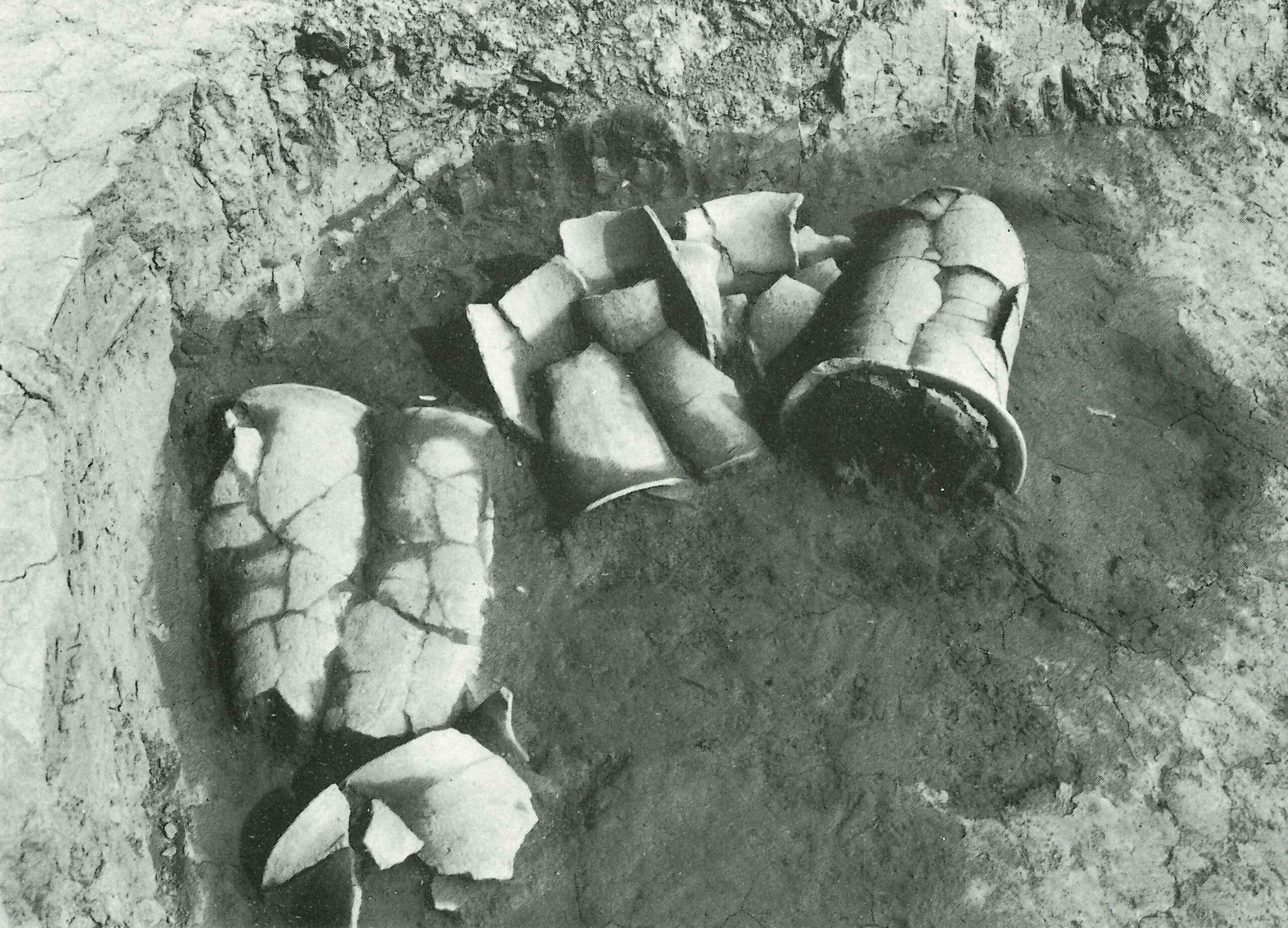 若宮台  わかみやだい