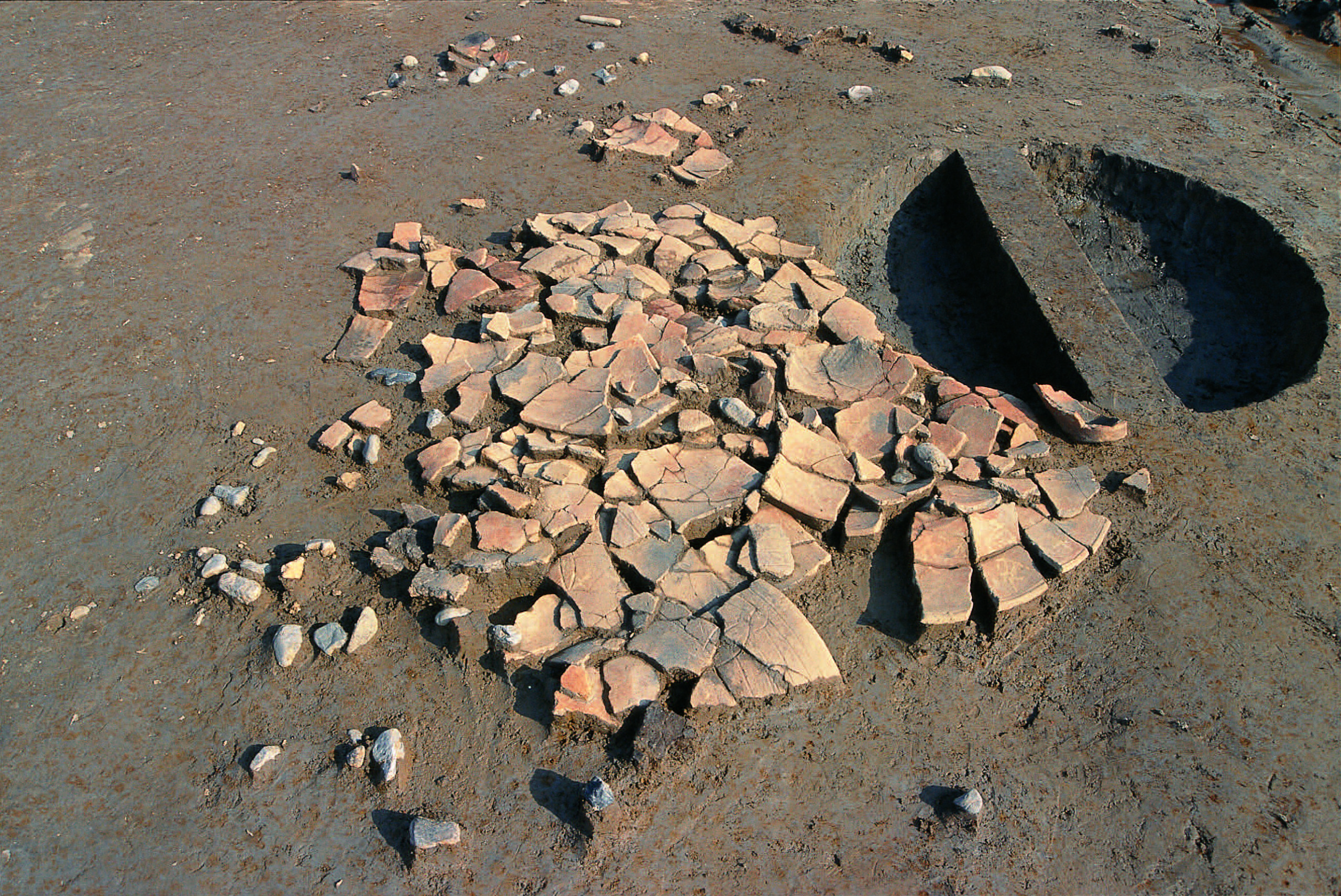 池上いけがみ/諏訪木すわのき