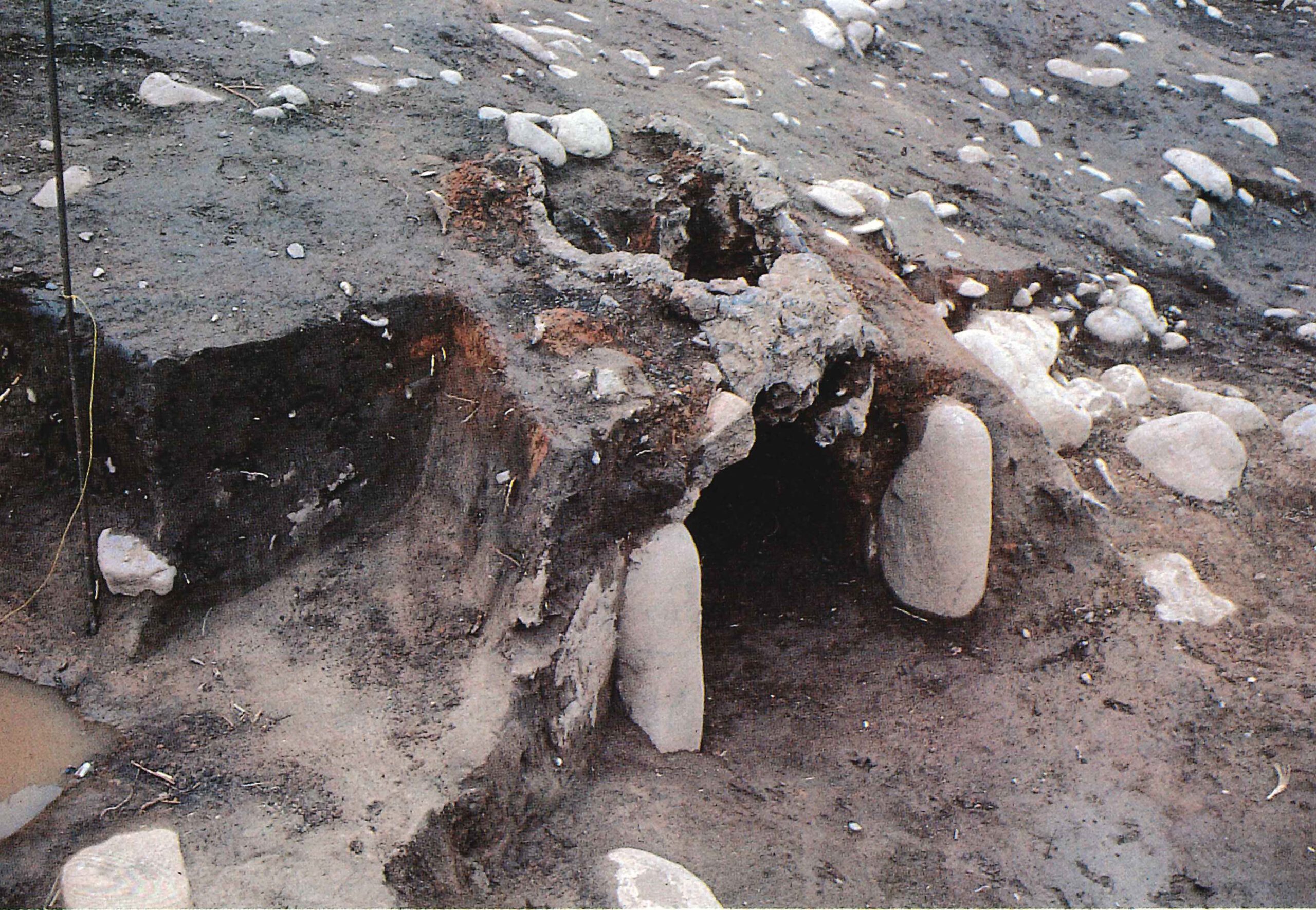 台耕地(Ⅱ)だいこうち(Ⅱ)