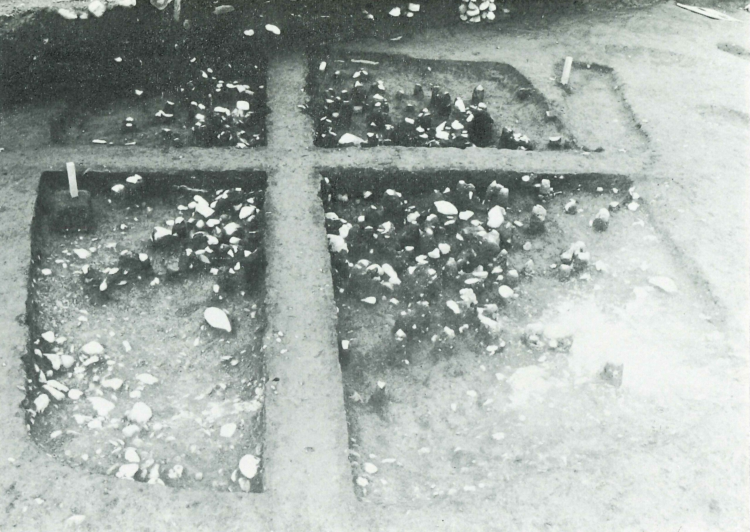 三ヶ尻林(2)みかじりばやし(2)・台だい