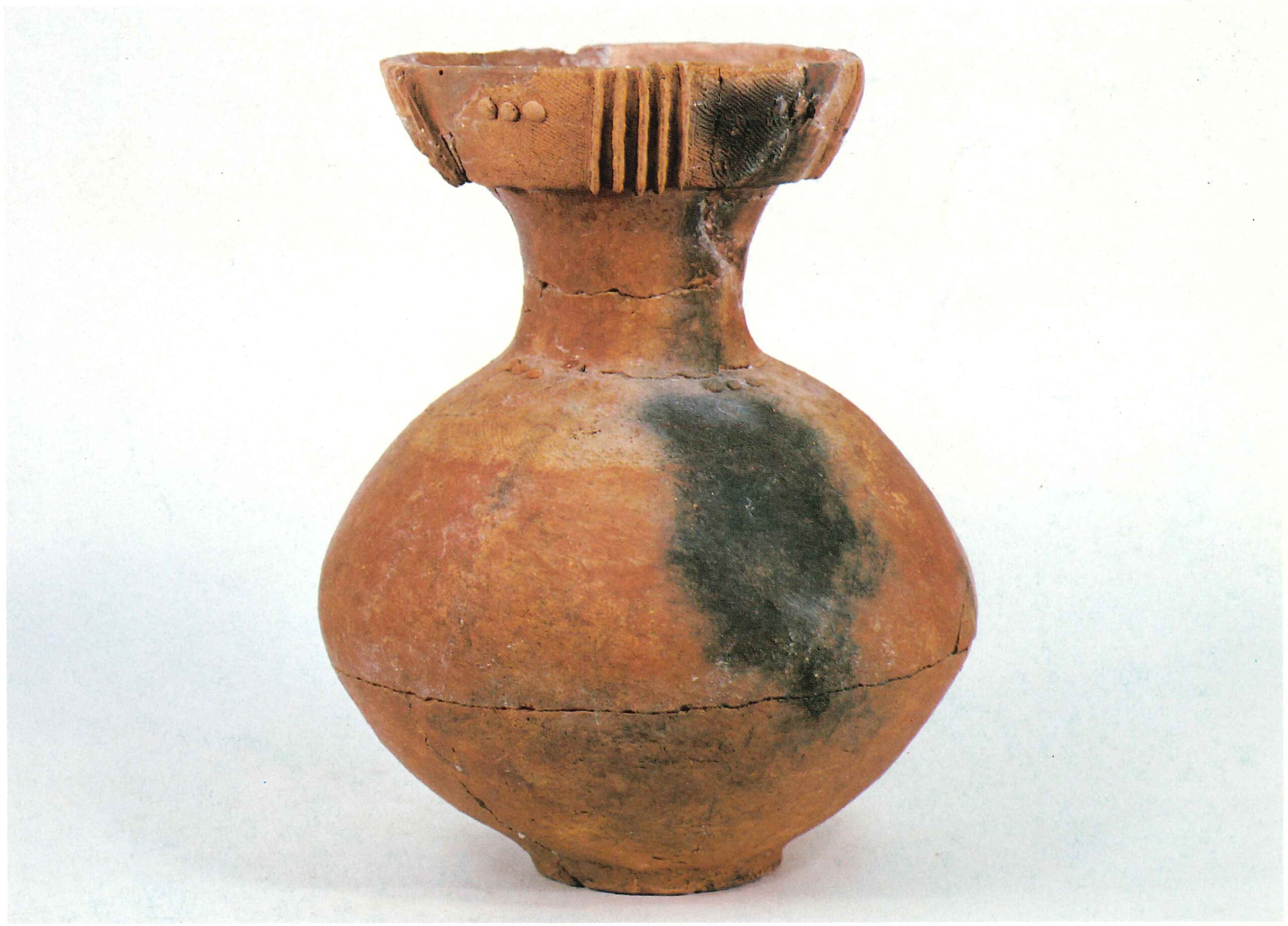 明花向みょうばなむかい・明花上ノ台みょうばなうえのだい・井沼方馬堤いぬまがたうまづつみ・とうのこし