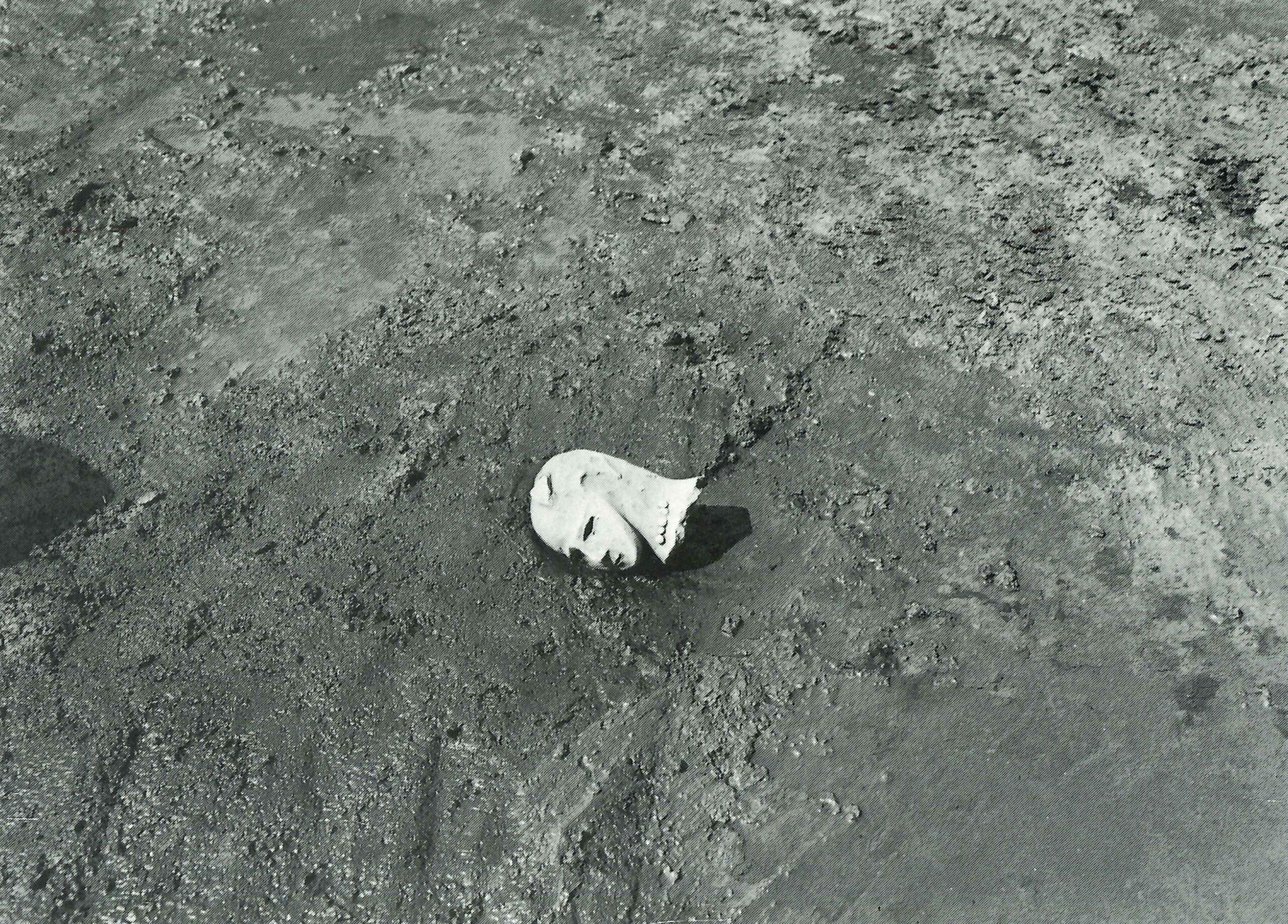 古凍根岸裏  ふるごおりねぎしうら