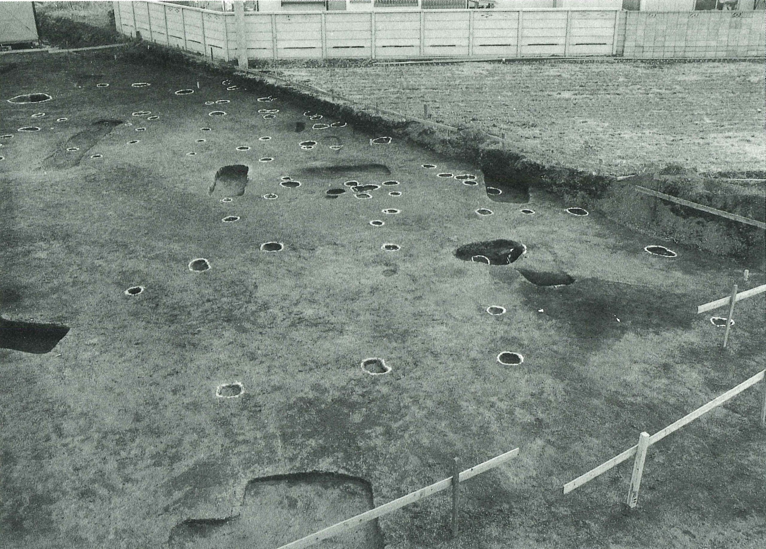 閏戸足利うるいどたり