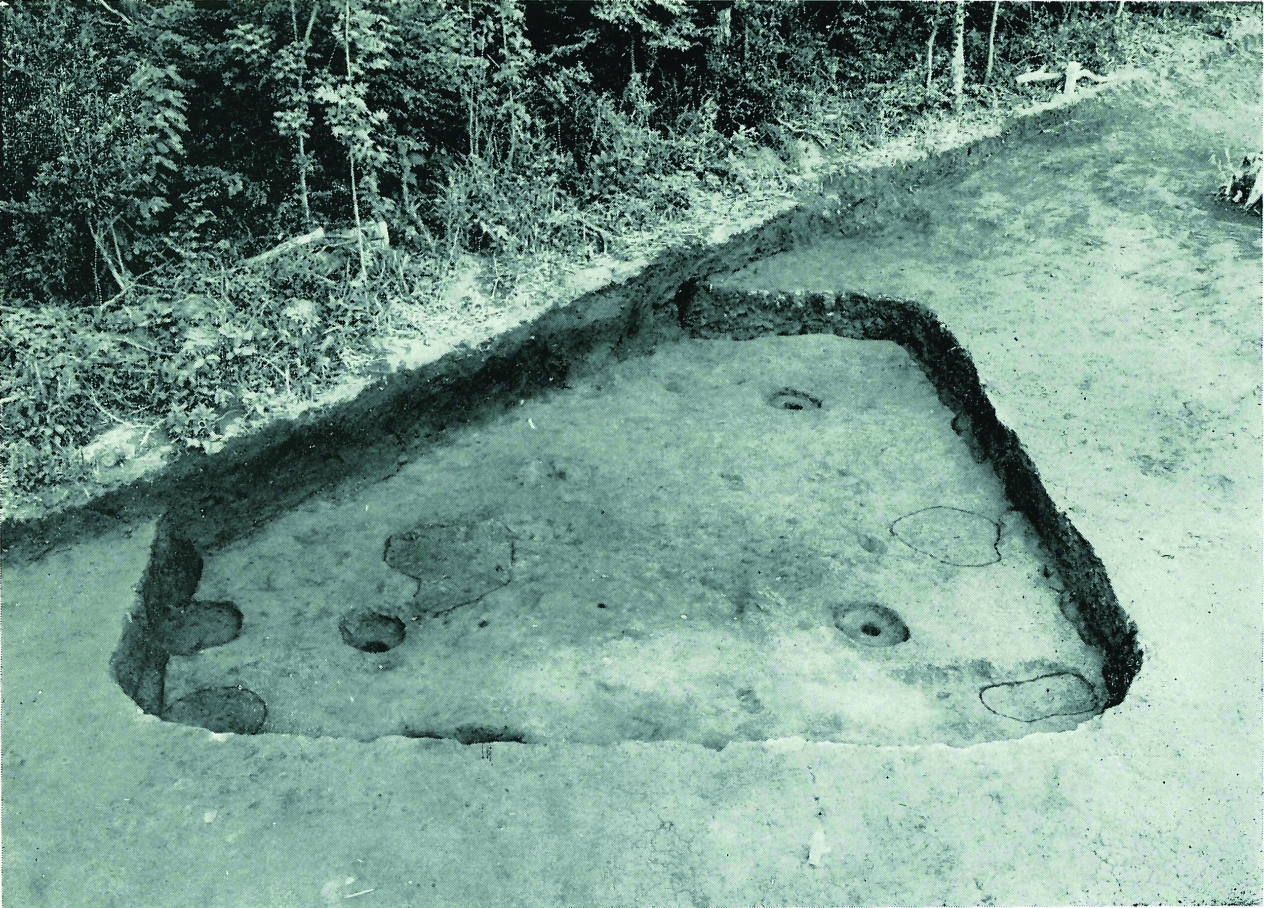 三番耕地さんばんこうち・十八番耕地じゅうはちばんこうち・十二番耕地 じゅうにばんこうち・神山かみやま