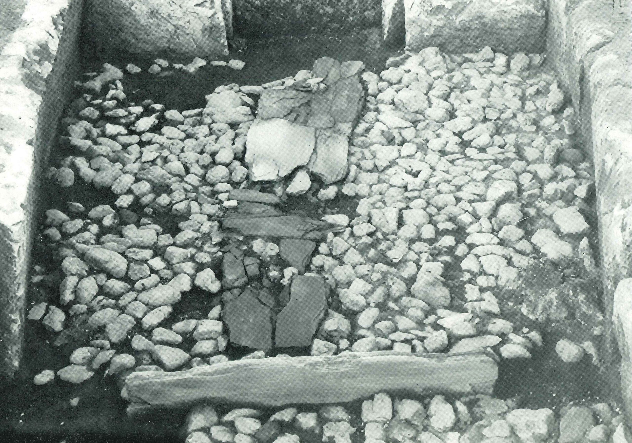 鶴ヶ丘(E区)つるがおか(Eく)