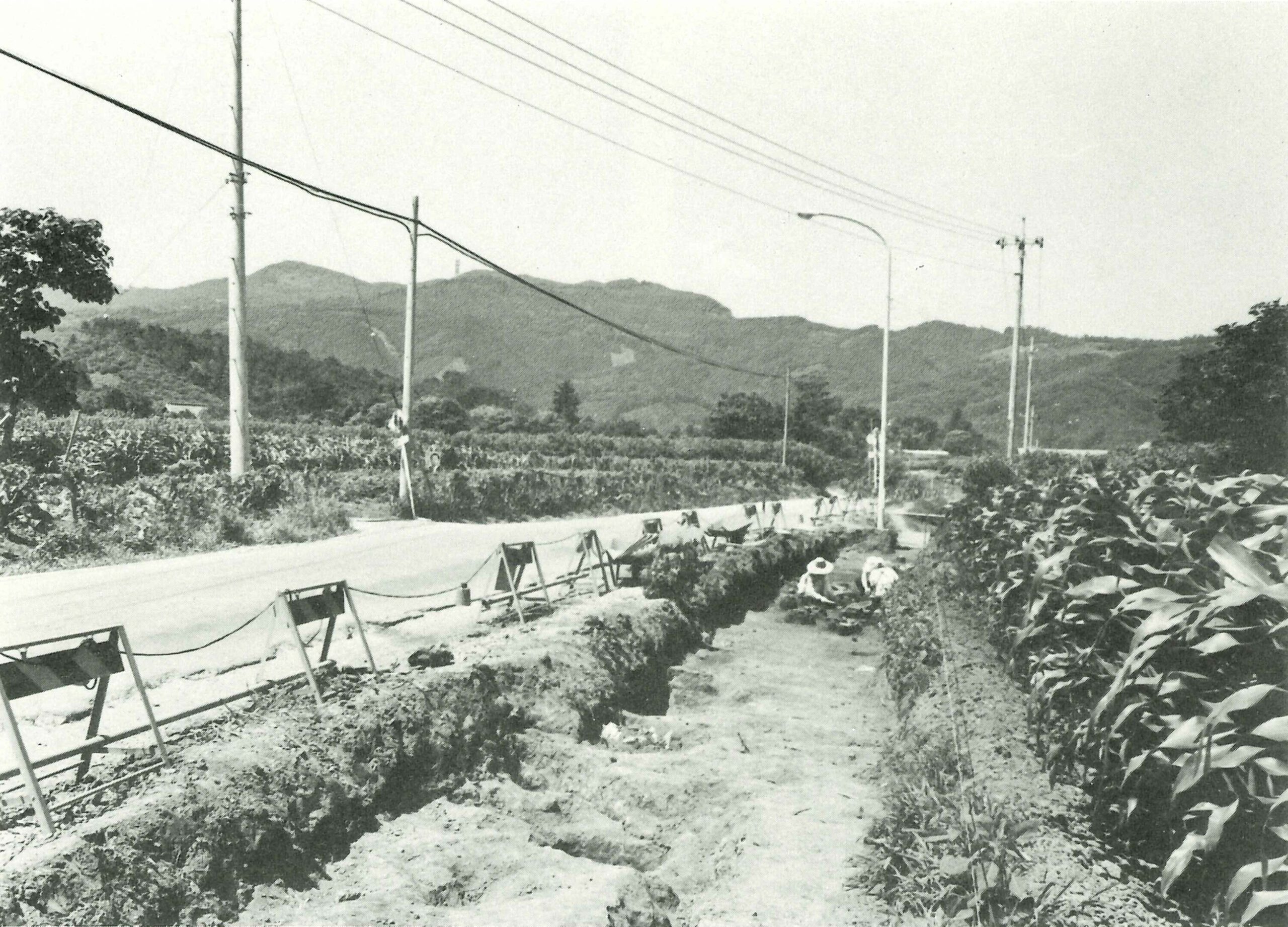 増善寺遺跡ぞうぜんじいせき