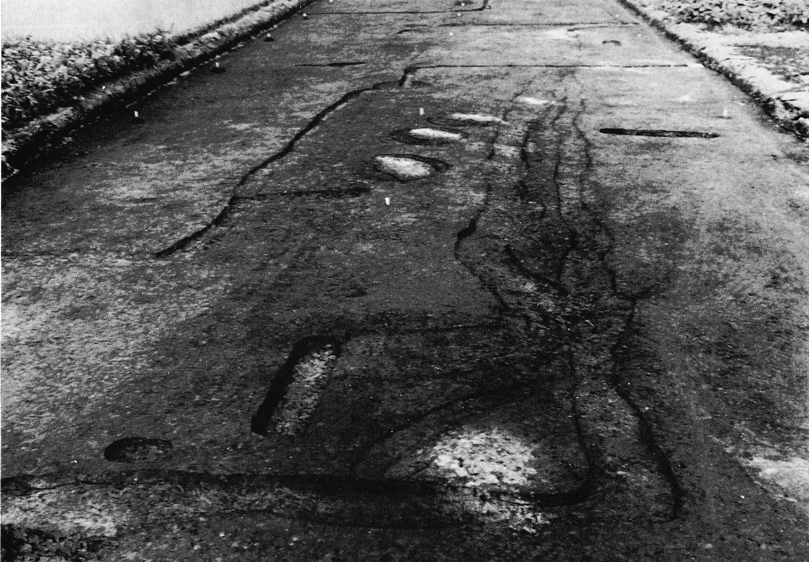 大林Ⅰ・Ⅱ おおばやしⅠ・Ⅱ   宮林みやばやし   下南原しもみなみはら