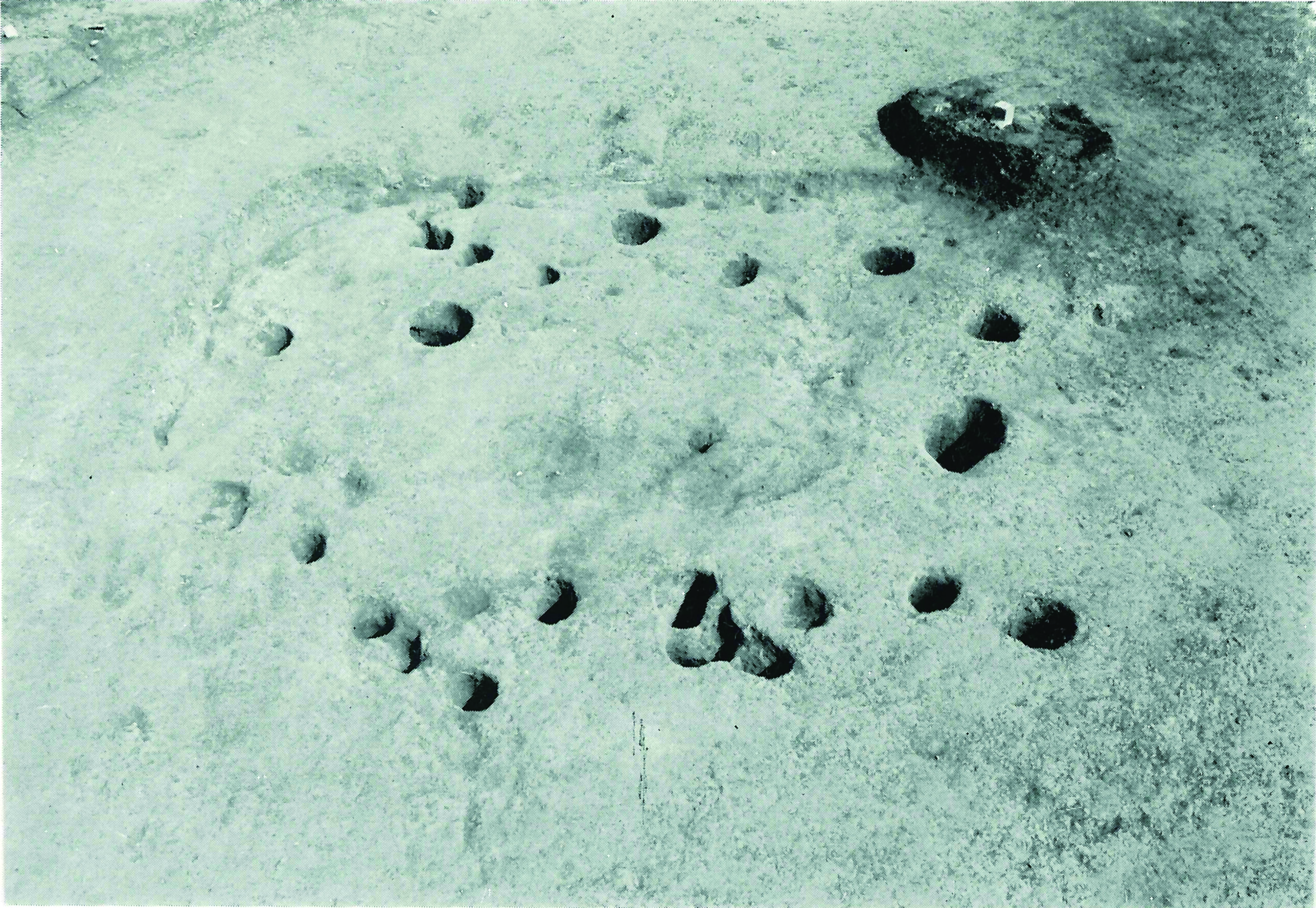 中矢下なかやした・夕日ノ沢ゆうひのさわ・上前原沢かみまえはらさわ・芝口ヲネしばぐちをね・後山北谷うしろやまきただに・滝尾塚たきおづか