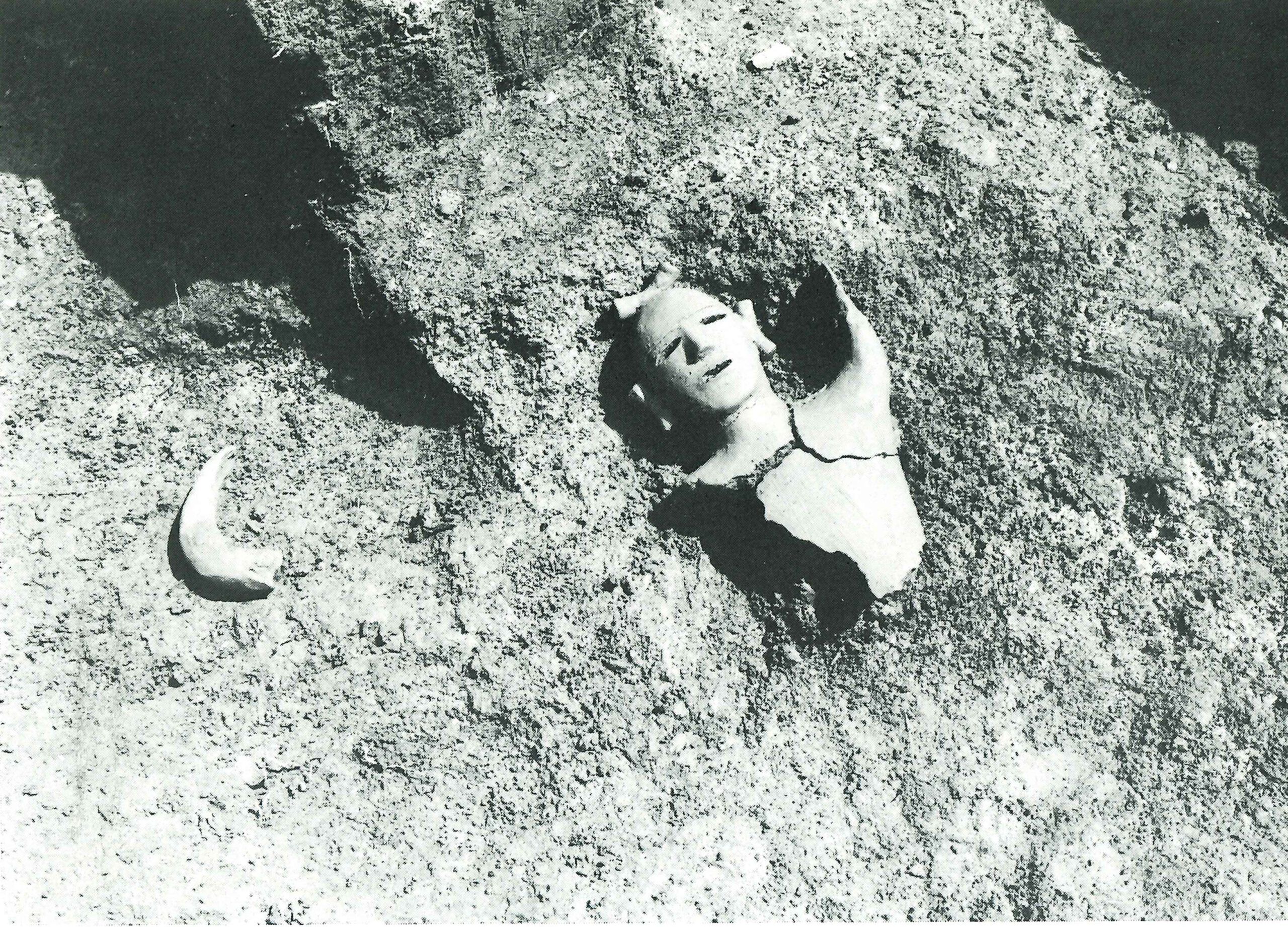 桜山窯跡群  さくらやまようせきぐん