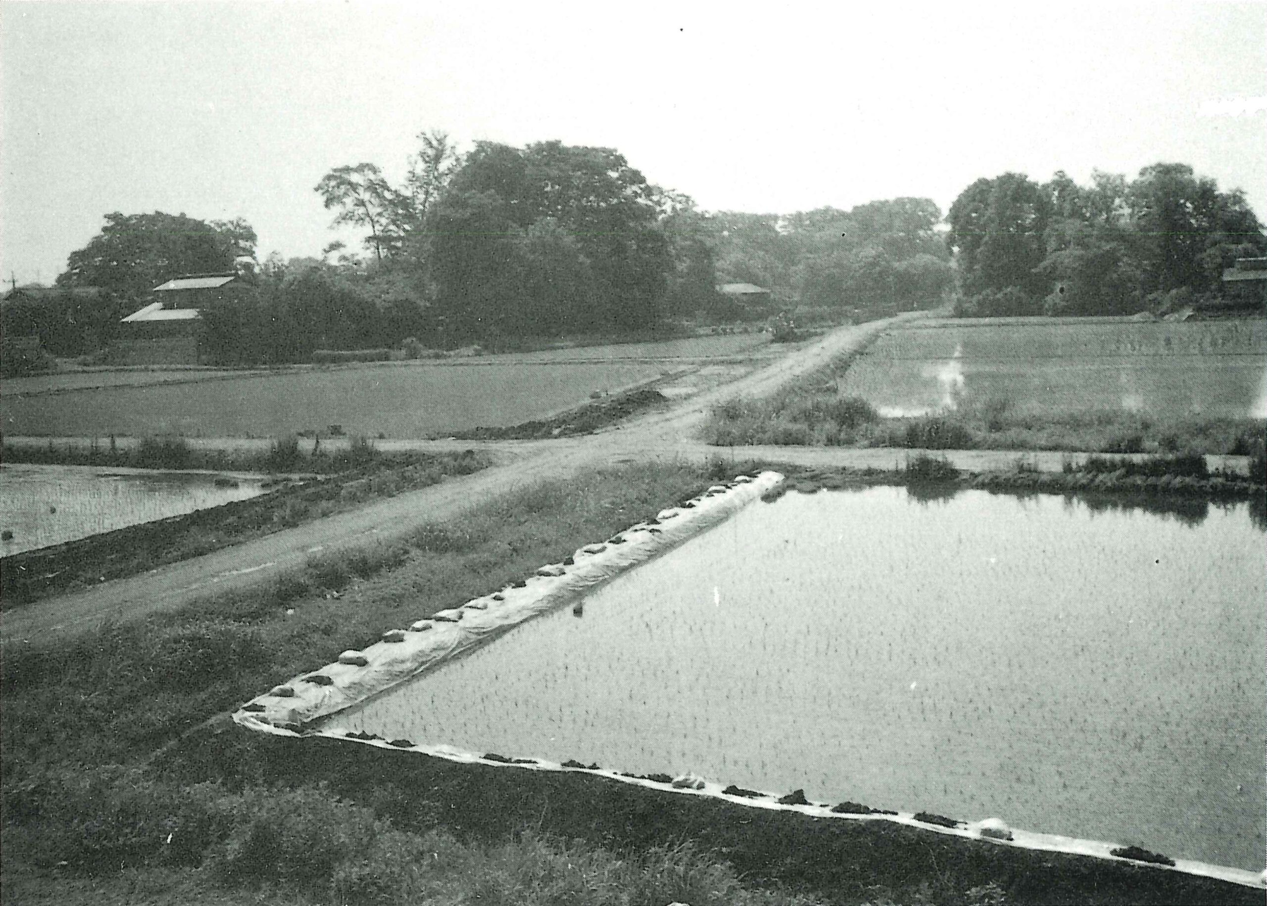 光屋敷遺跡みつやしきいせき