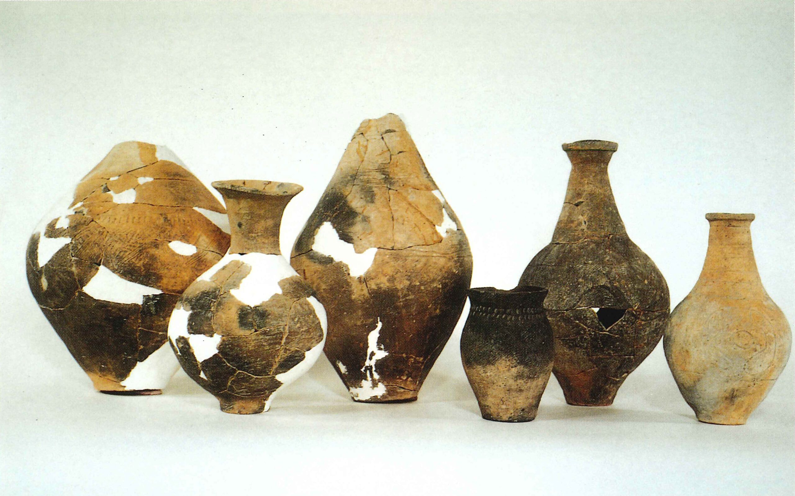 小敷田遺跡こしきだいせき