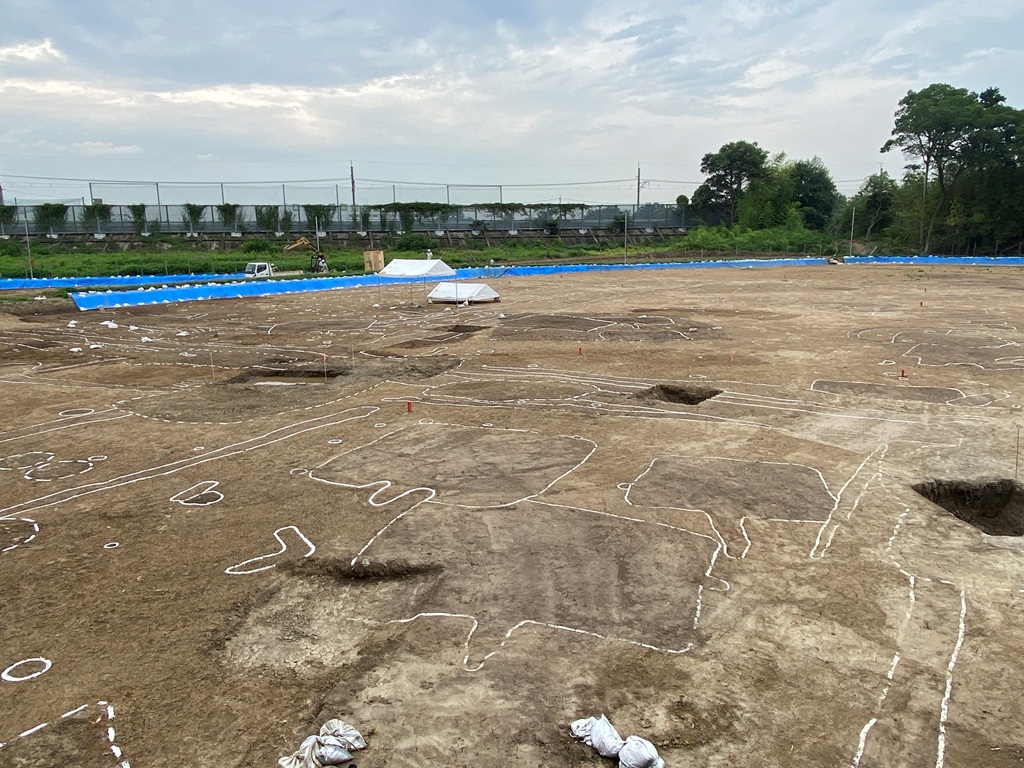 西遊馬高木遺跡